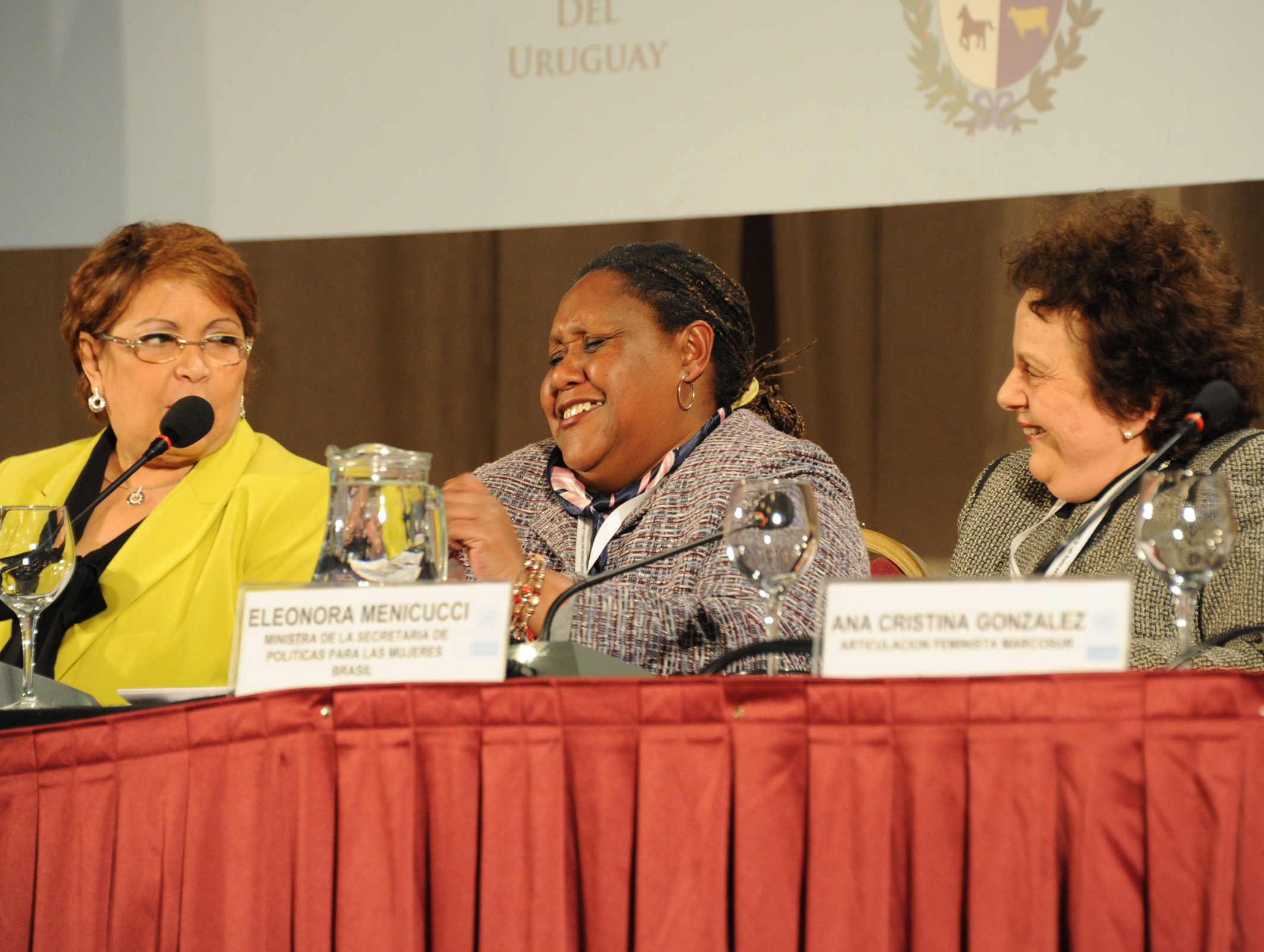 Conferencia Regional De Población Y Desarrollo - Igualdad De Género ...