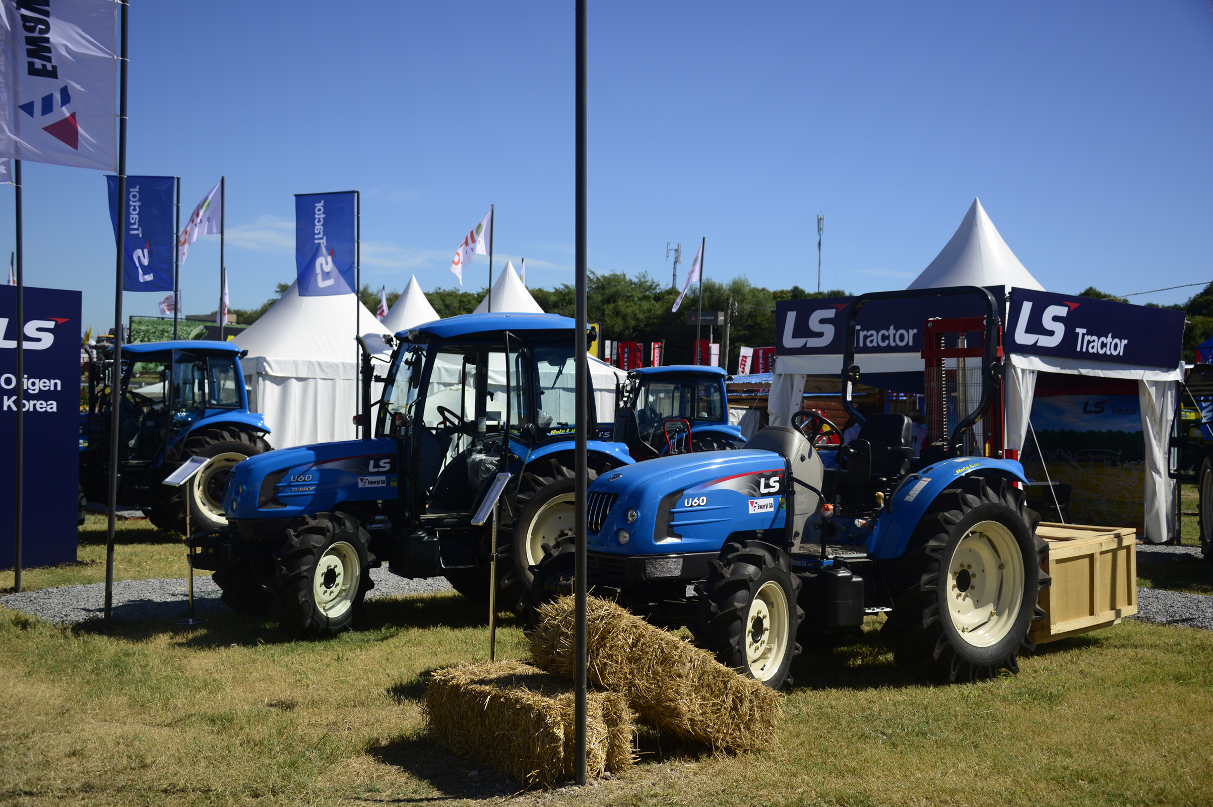 Instalaciones y stands de la Expo Activa
