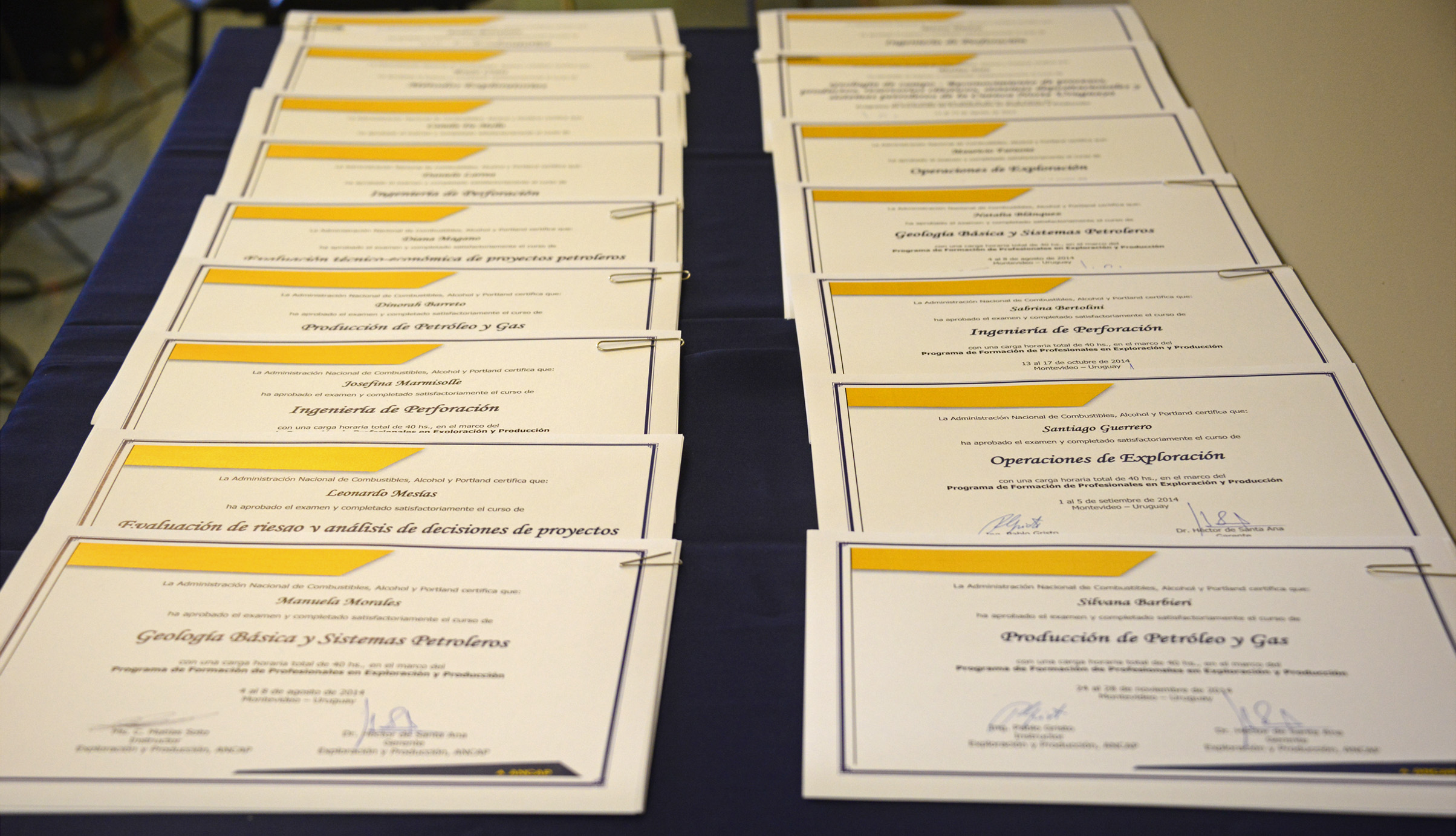 Certificados del Programa de Capacitación de Profesionales en Exploración y Producción 2014