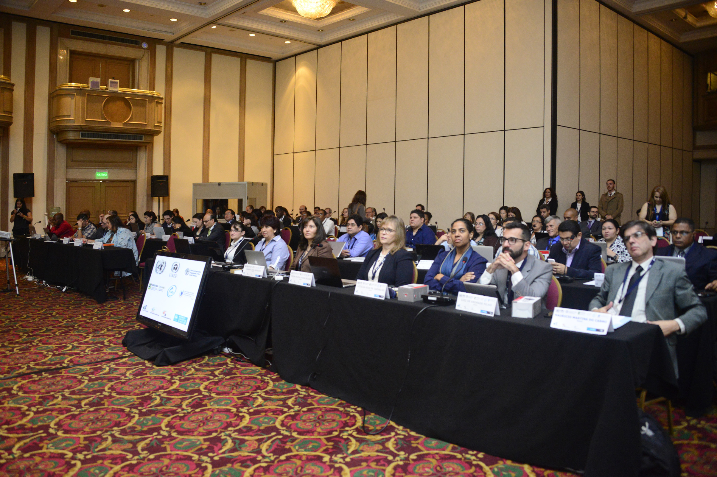 Apertura de la reunión regional del Grupo de América Latina y el Caribe sobre medio ambiente