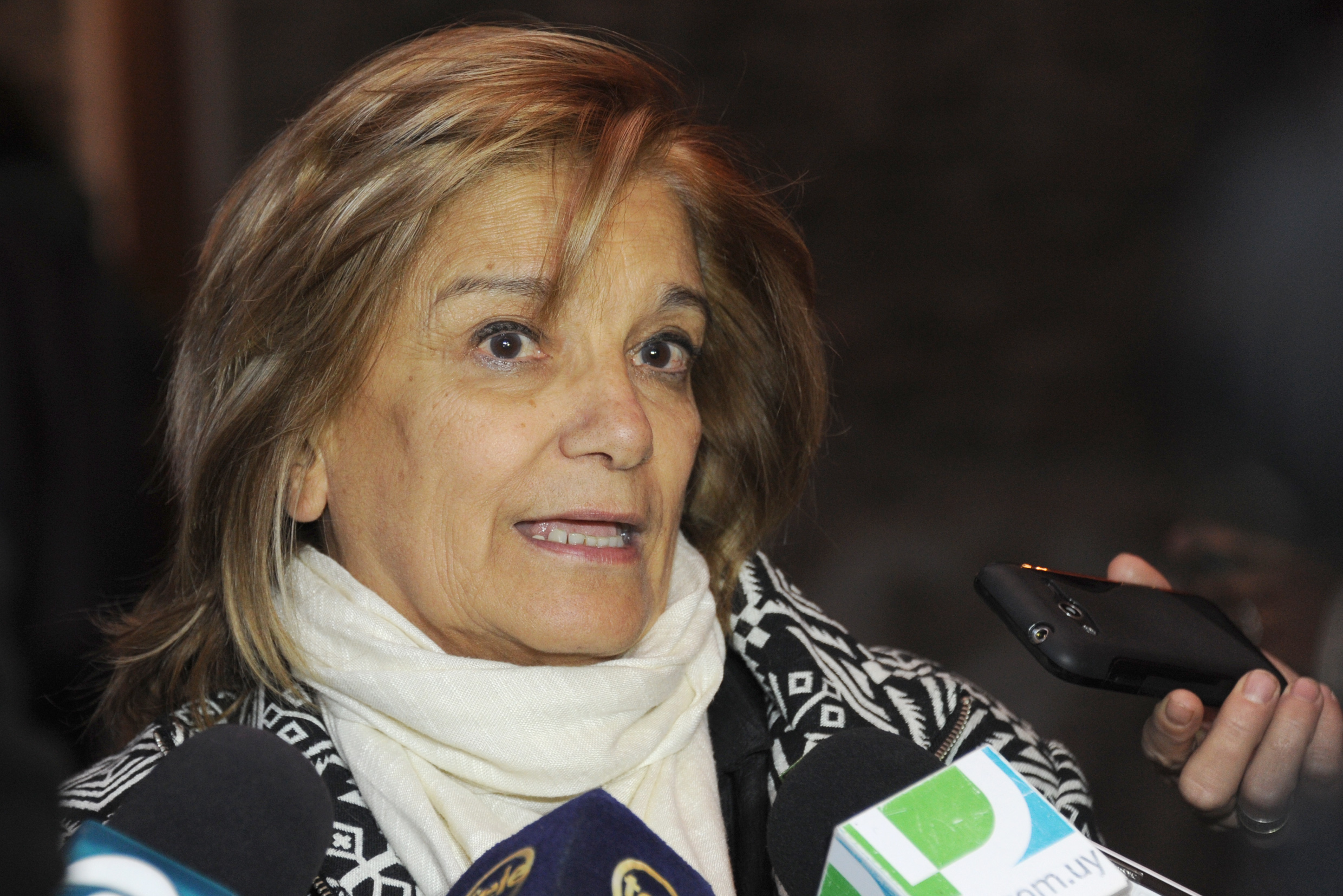 La ministra de Vivienda, Ordenamiento Territorial y Medio Ambiente, Eneida de Léon, realiza declaraciones a la prensa.