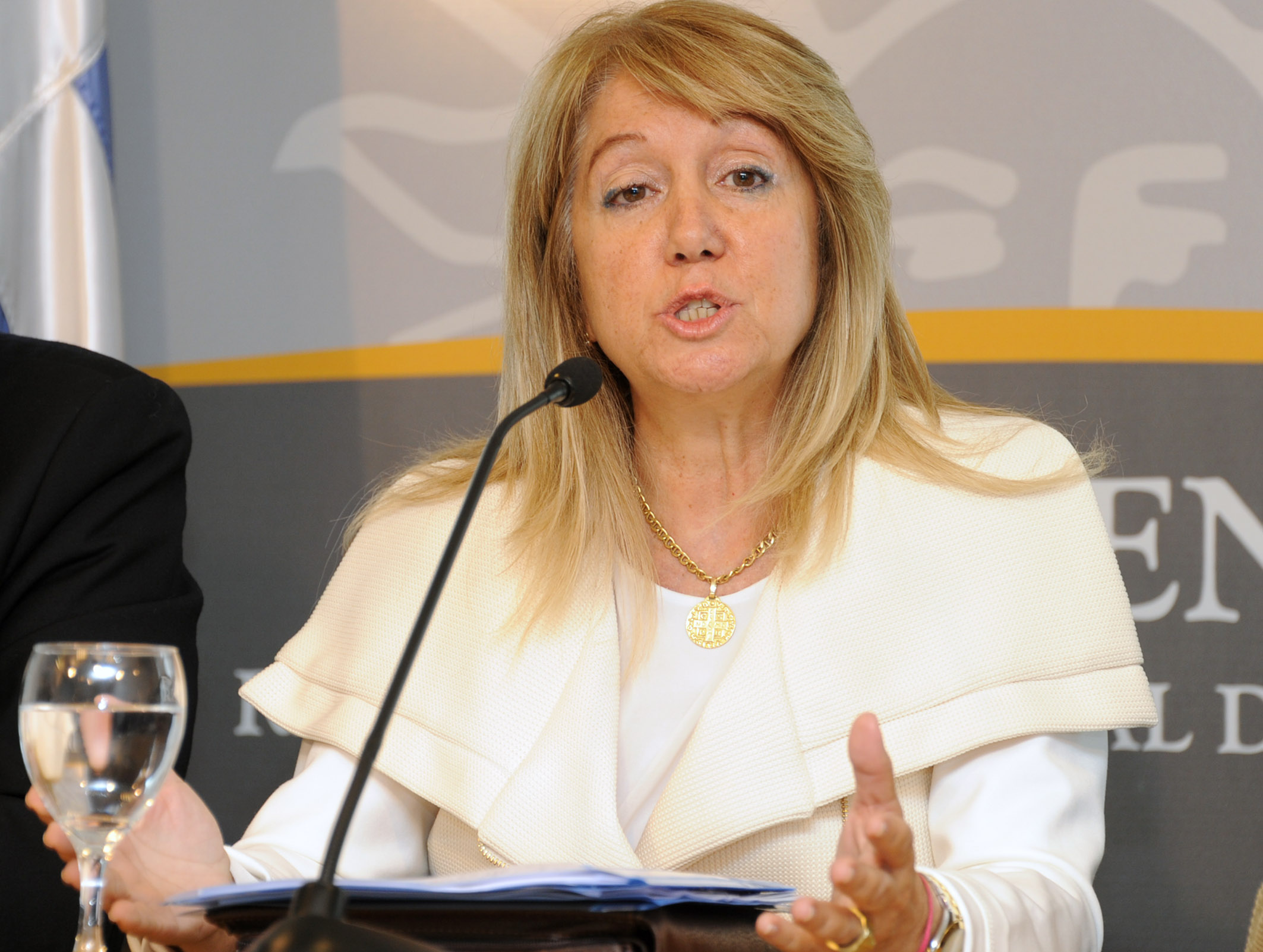 Susana Montaner