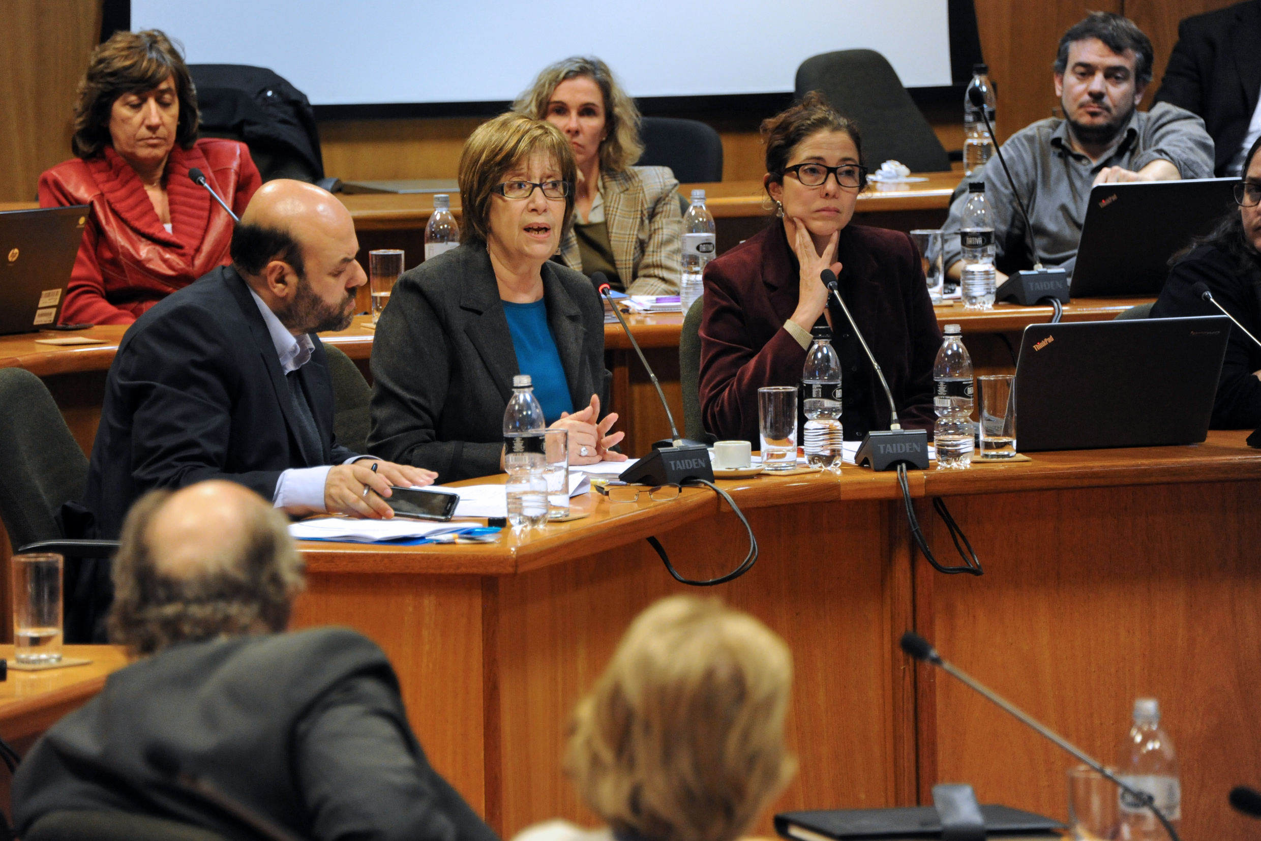 Ministra Arismendi en Comisión del Senado