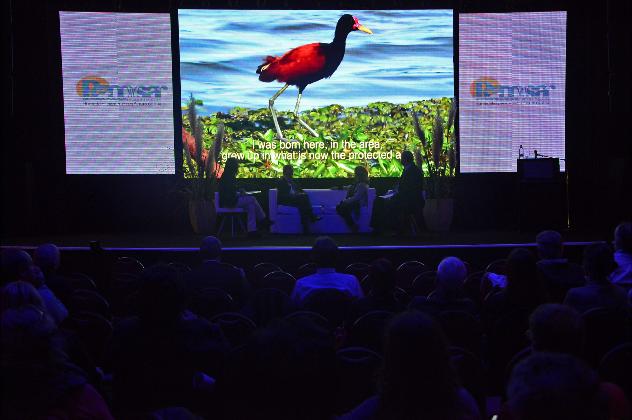Presentación de un documental sobre los humedales en el Uruguay