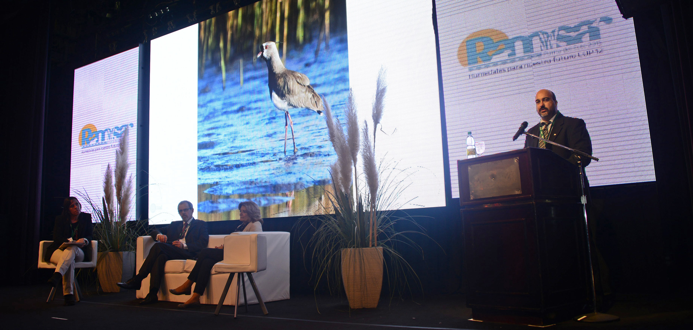 Alejandro Nario Carvalho, Director Nacional de Medio Ambiente, expuso en el marco de la Convención Ramsar 2015