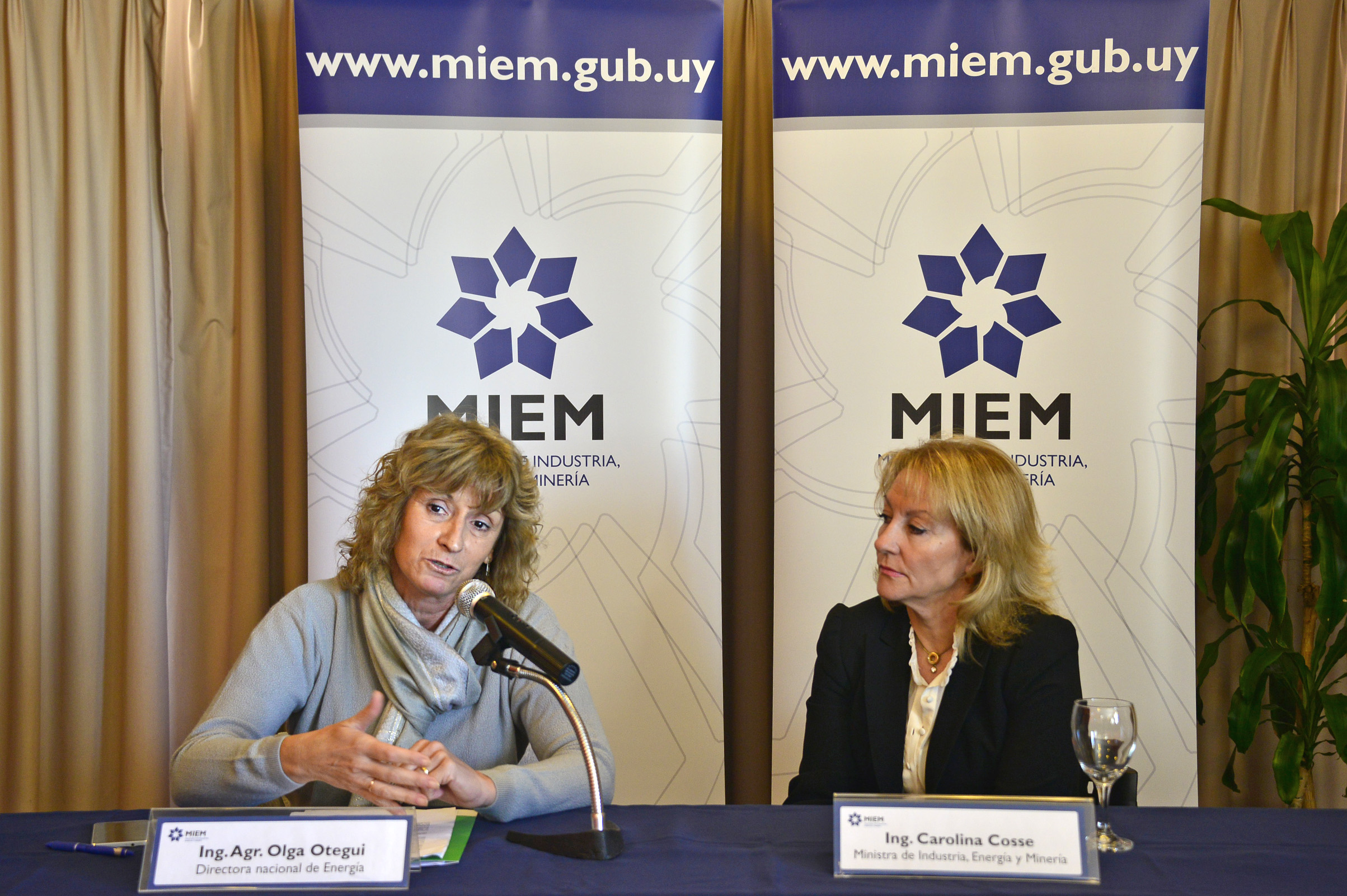 Olga Otegui, Directora Nacional de Energía, haciendo uso de la palabra