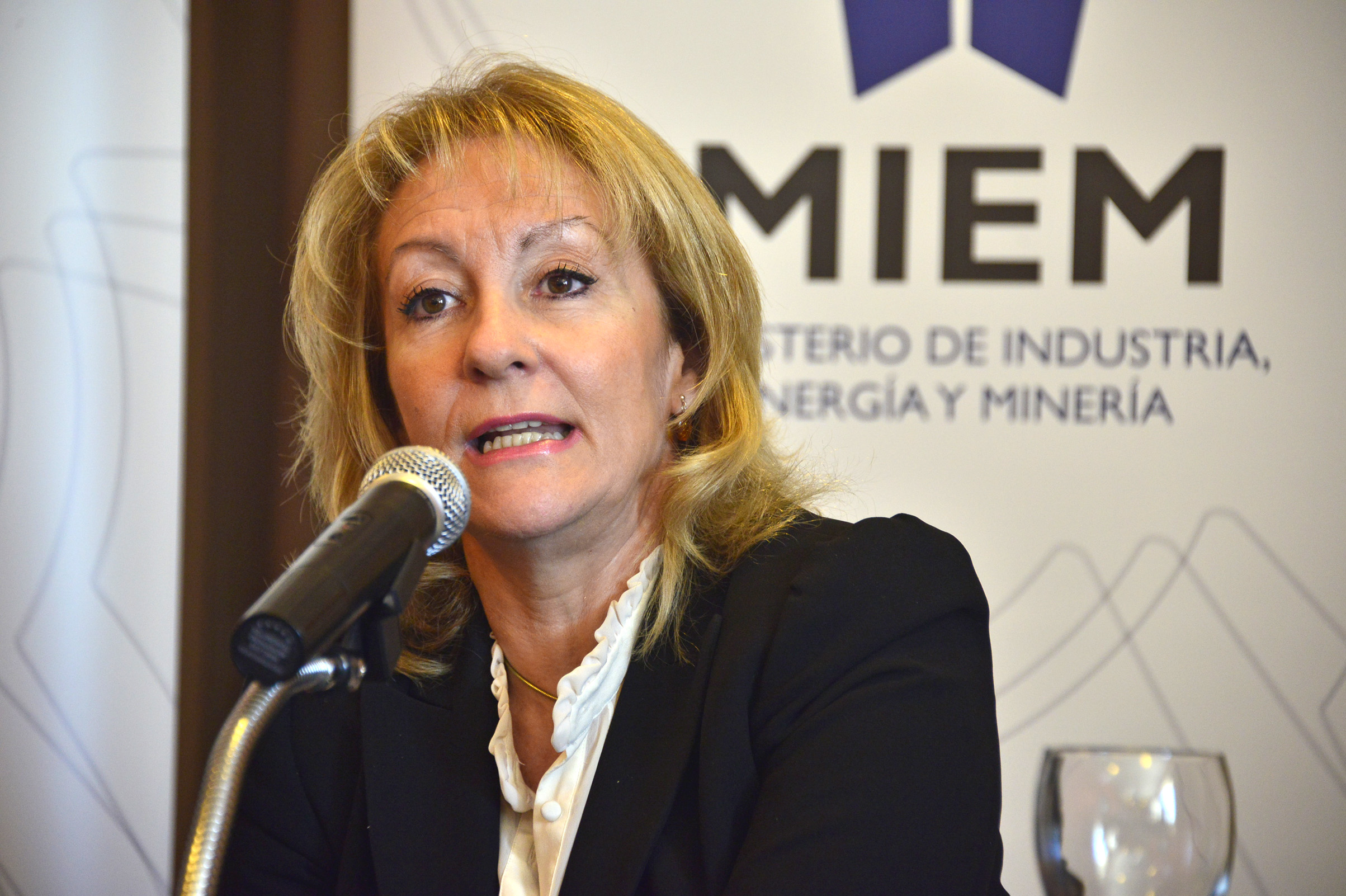 Ministra Carolina Cosse, dirigiéndose a los presentes