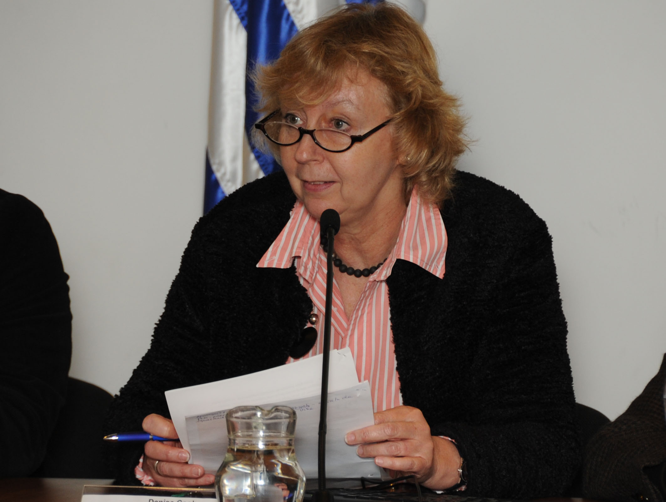 Denise Cook haciendo uso de la palabra