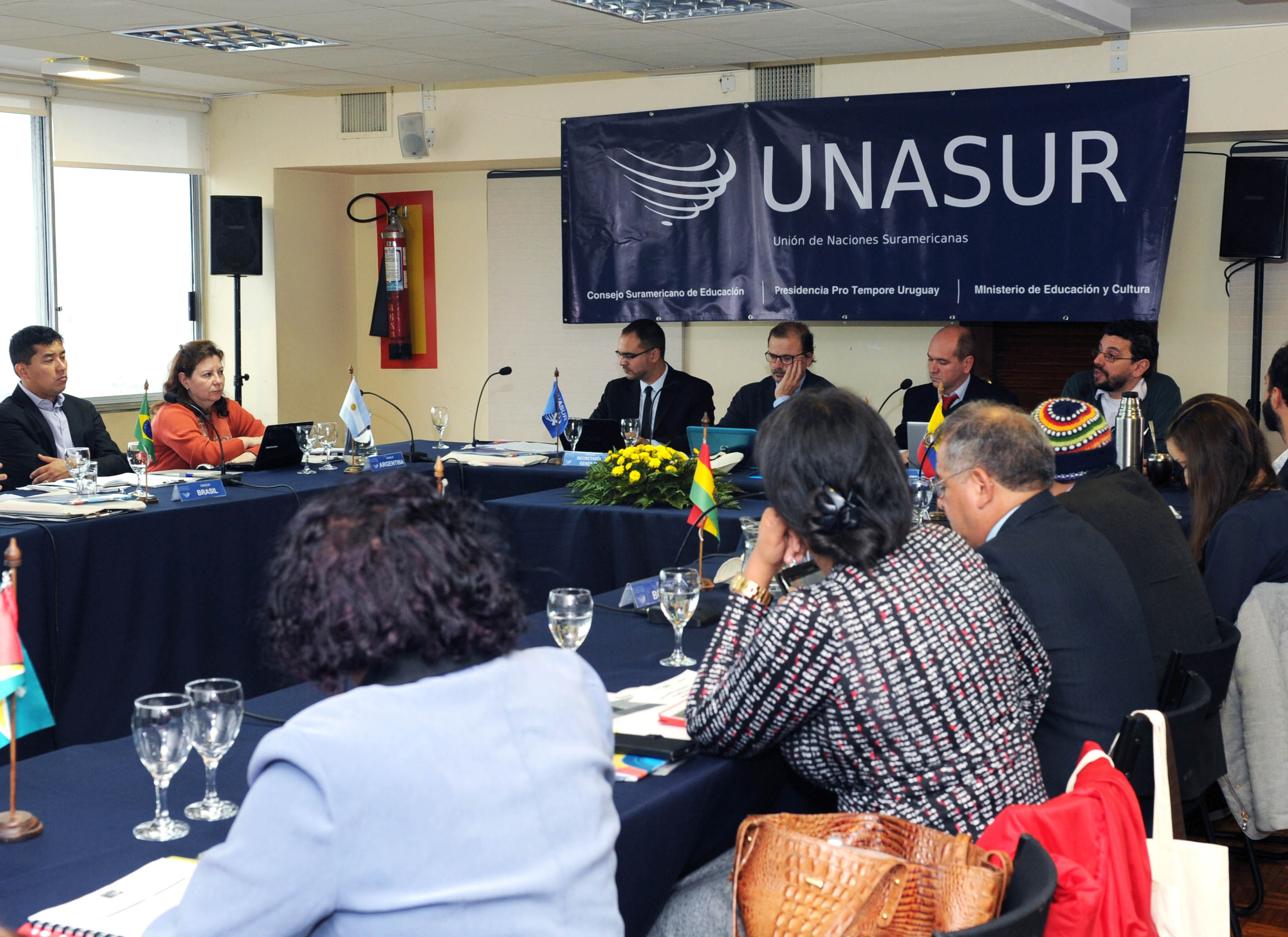 XXIV Reunión de la Instancia Ejecutiva del Consejo Suramericano de Educación de UNASUR