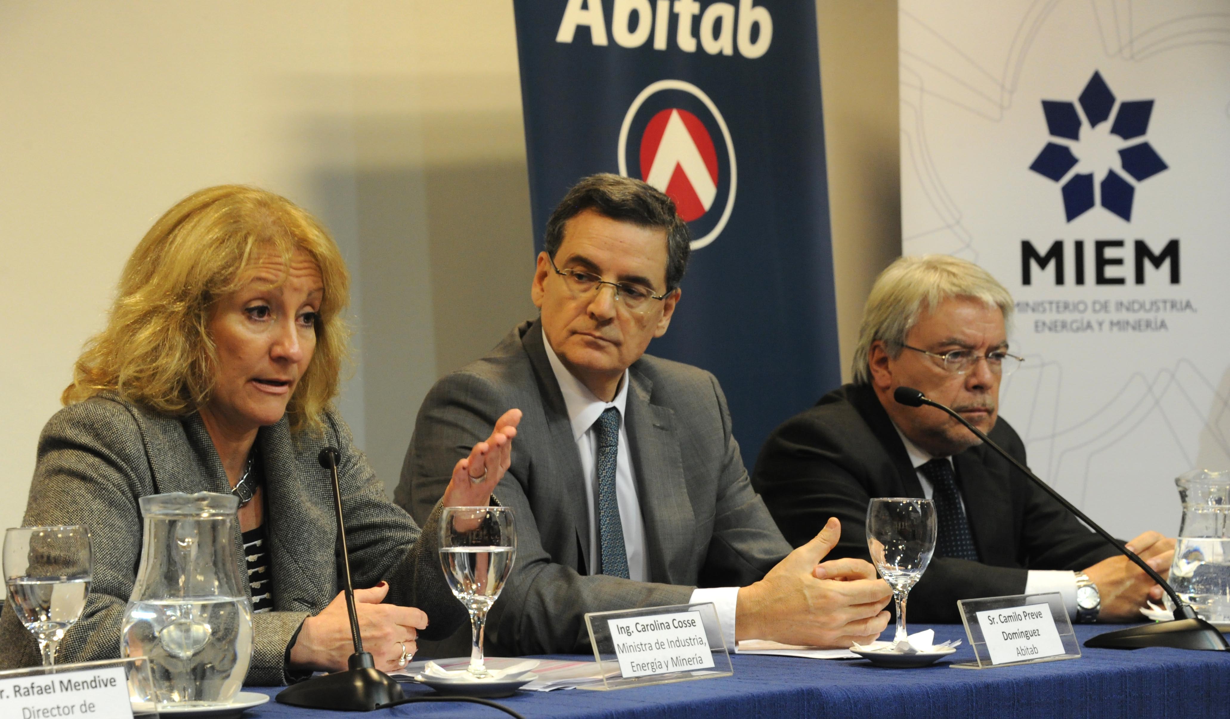 Ministra del MIEM, Carolina Cosse