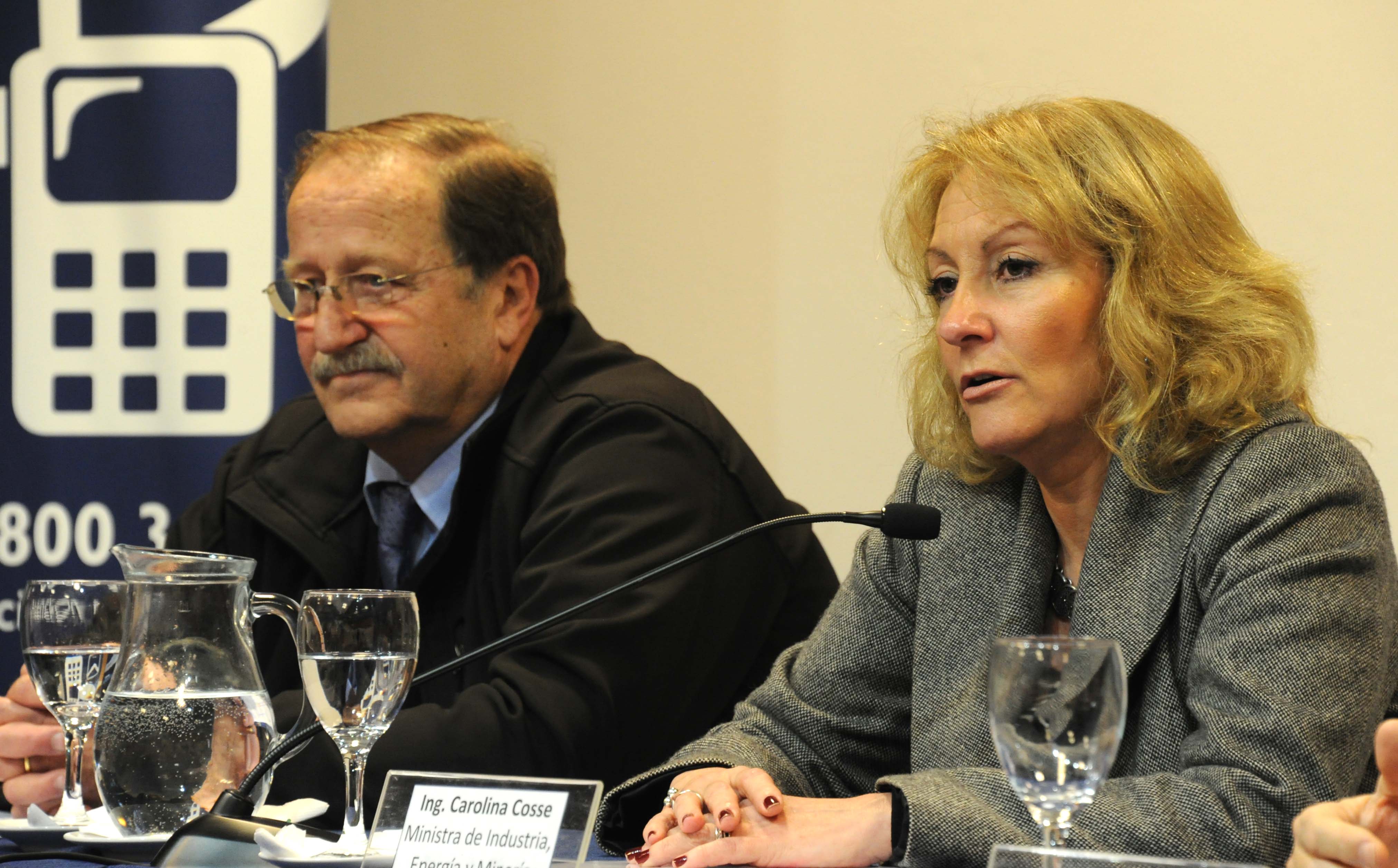 Ministra del MIEM, Carolina Cosse