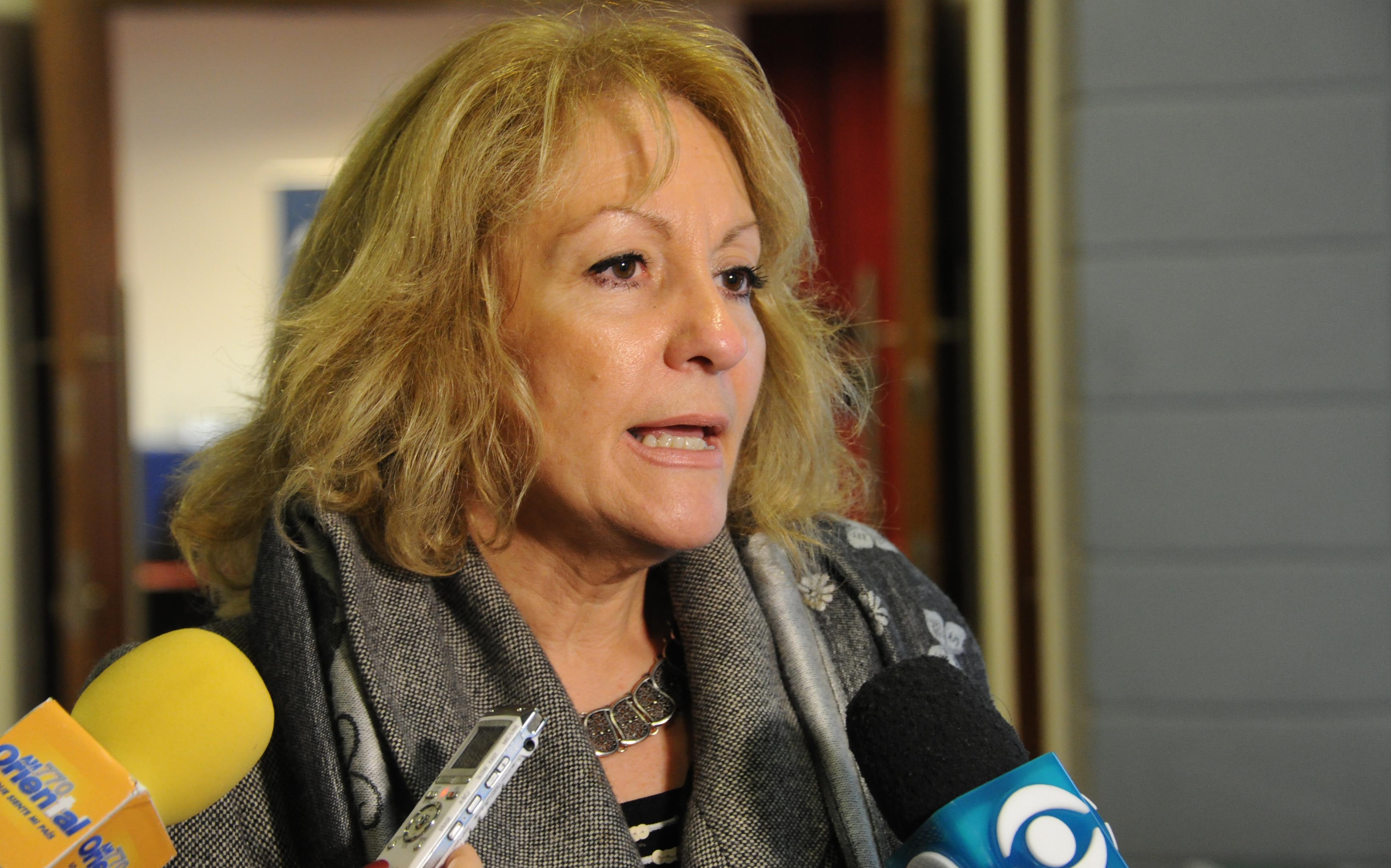 Ministra del MIEM, Carolina Cosse en declaraciones a la prensa