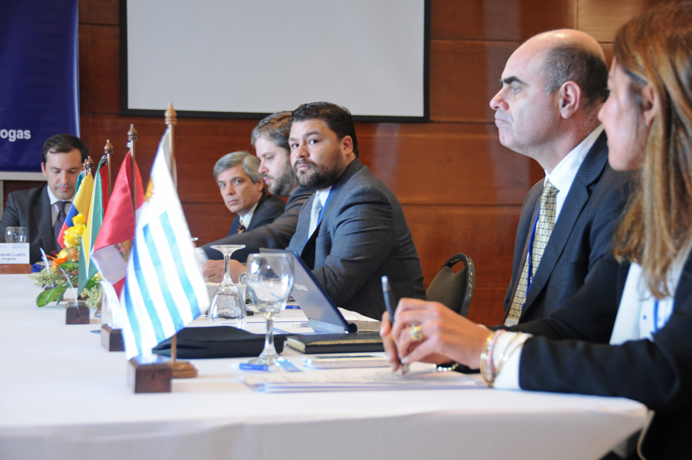 II Reunión Extraordinaria del Consejo Suramericano sobre el Problema Mundial de las Drogas