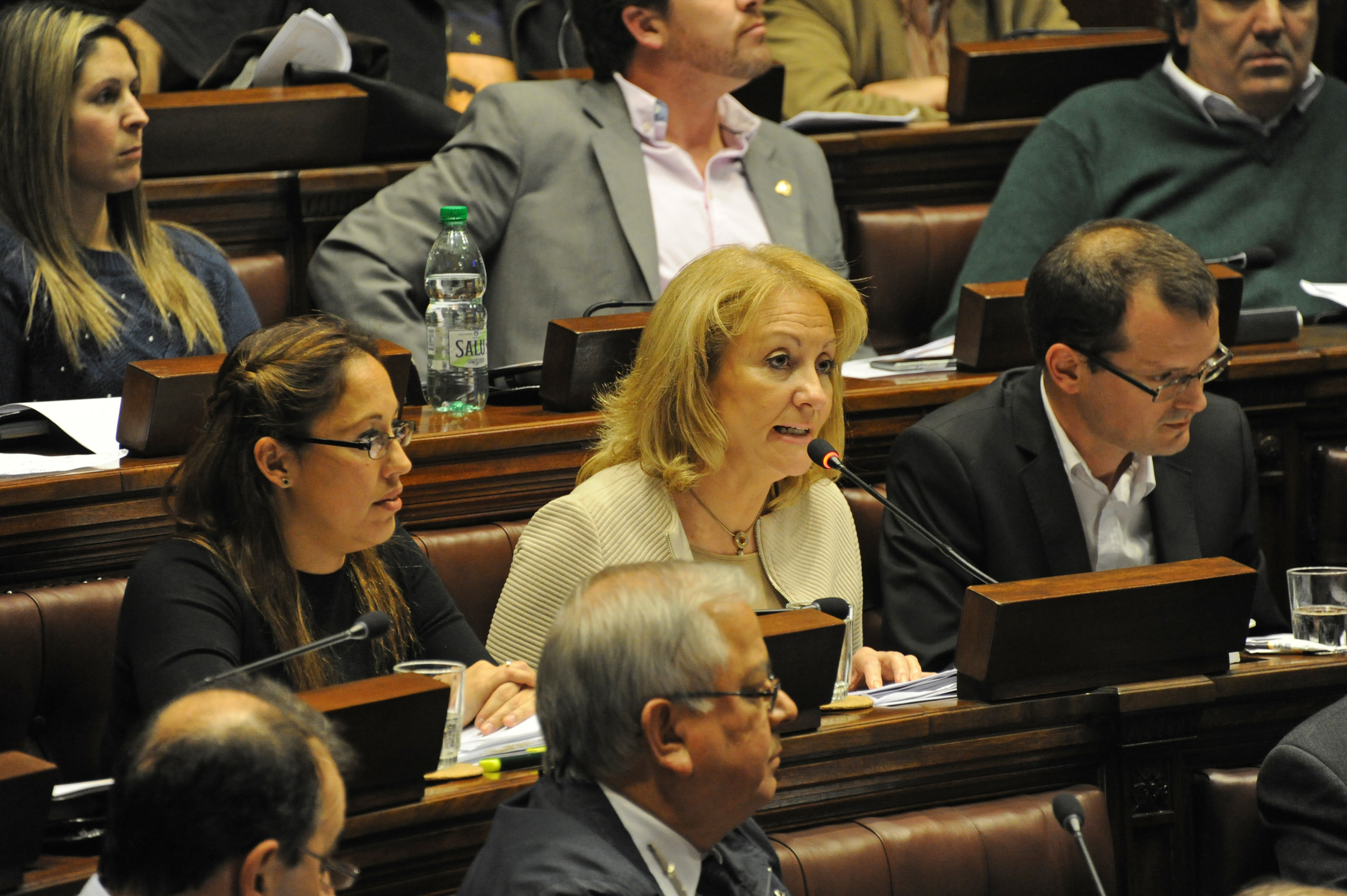 Ministra de Industria, Energía y Minería, Carolina Cosse en Cámara de Diputados