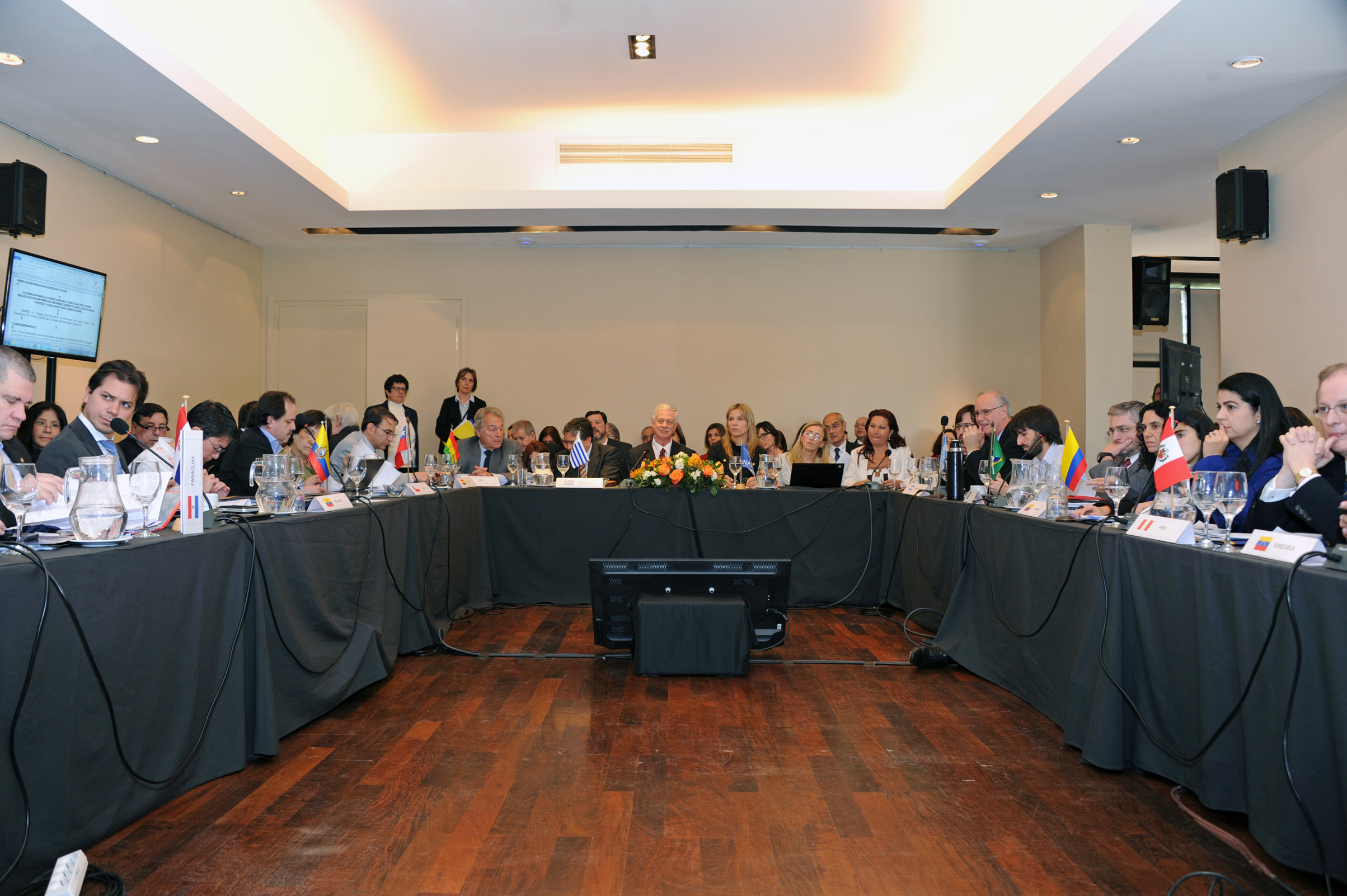 Reunión del Comité Coordinador de Salud Sudamericano
