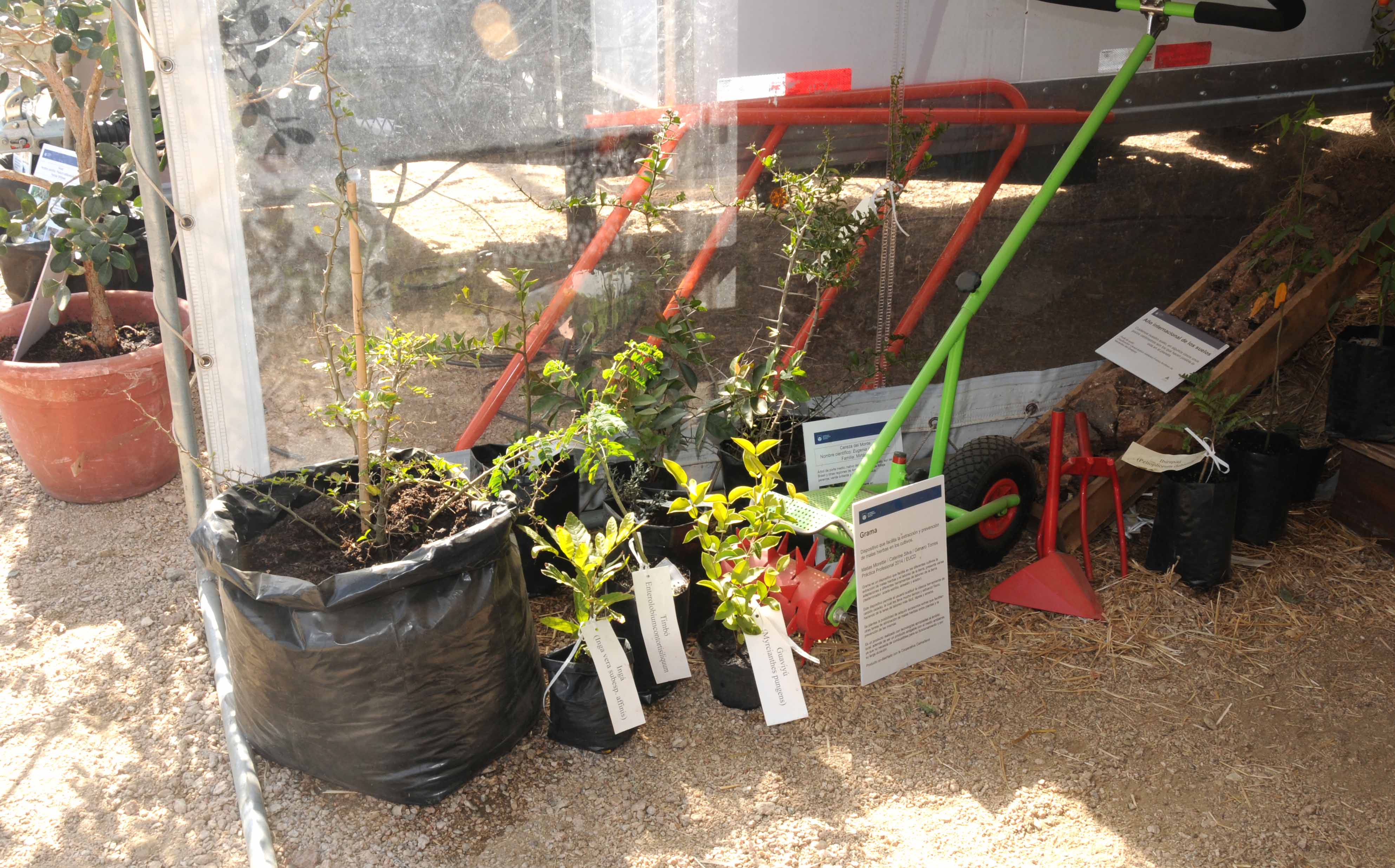 Laboratorio Móvil recorre centros educativos rurales acercando ciencia a niños y jóvenes