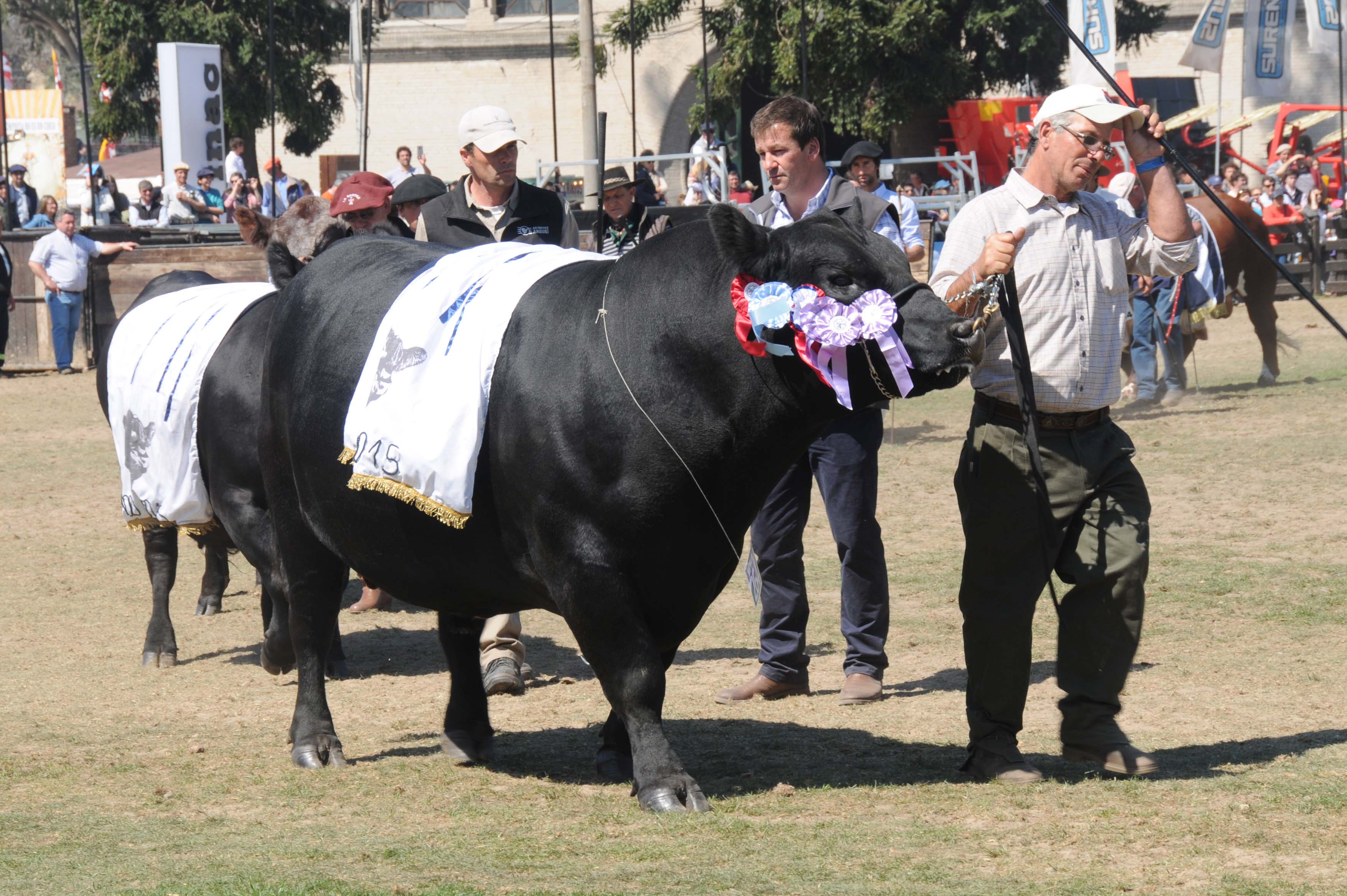 Ministro de ganadería, Tabaré Aguerre participó del cierre de la 110º edición de la Expo Prado