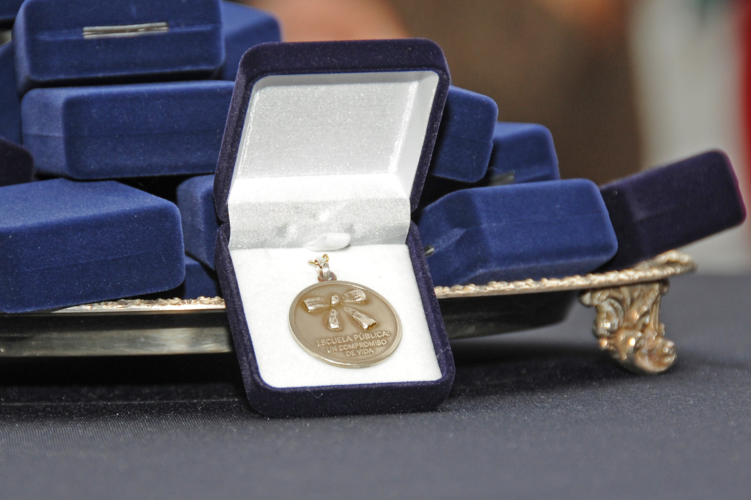 Medalla de reconocimiento del CEIP, Centro de Educación Inicial y Primaria