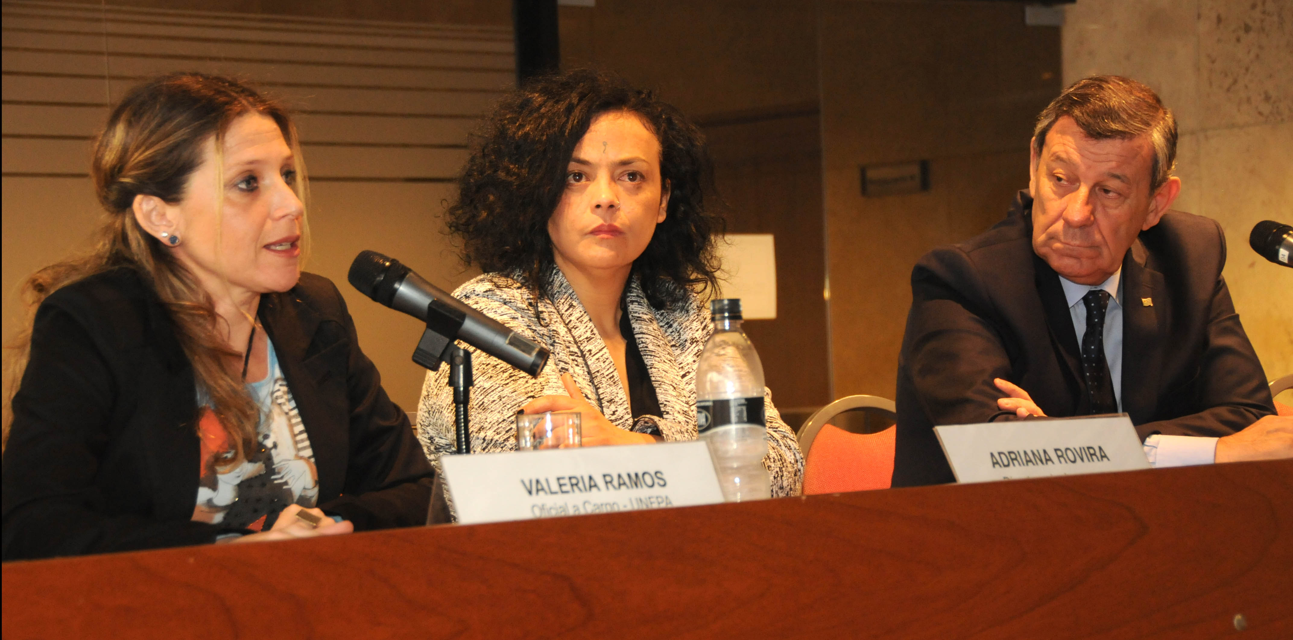 INmayores brindó una conferencia pública en el anexo del Palacio Legislativo