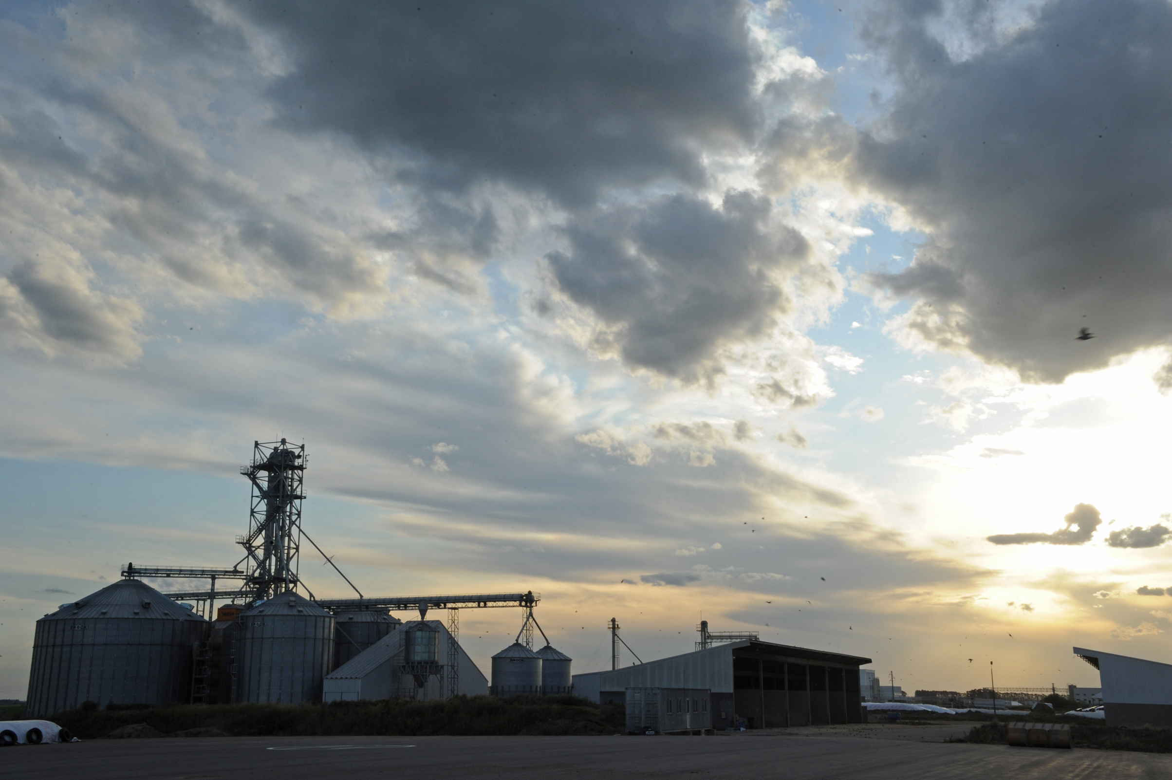 Establecimiento de producción de leche en polvo perteneciente a la Estancia del Lago y el Frigorífico Breaders Packers son ejemplos en tecnología