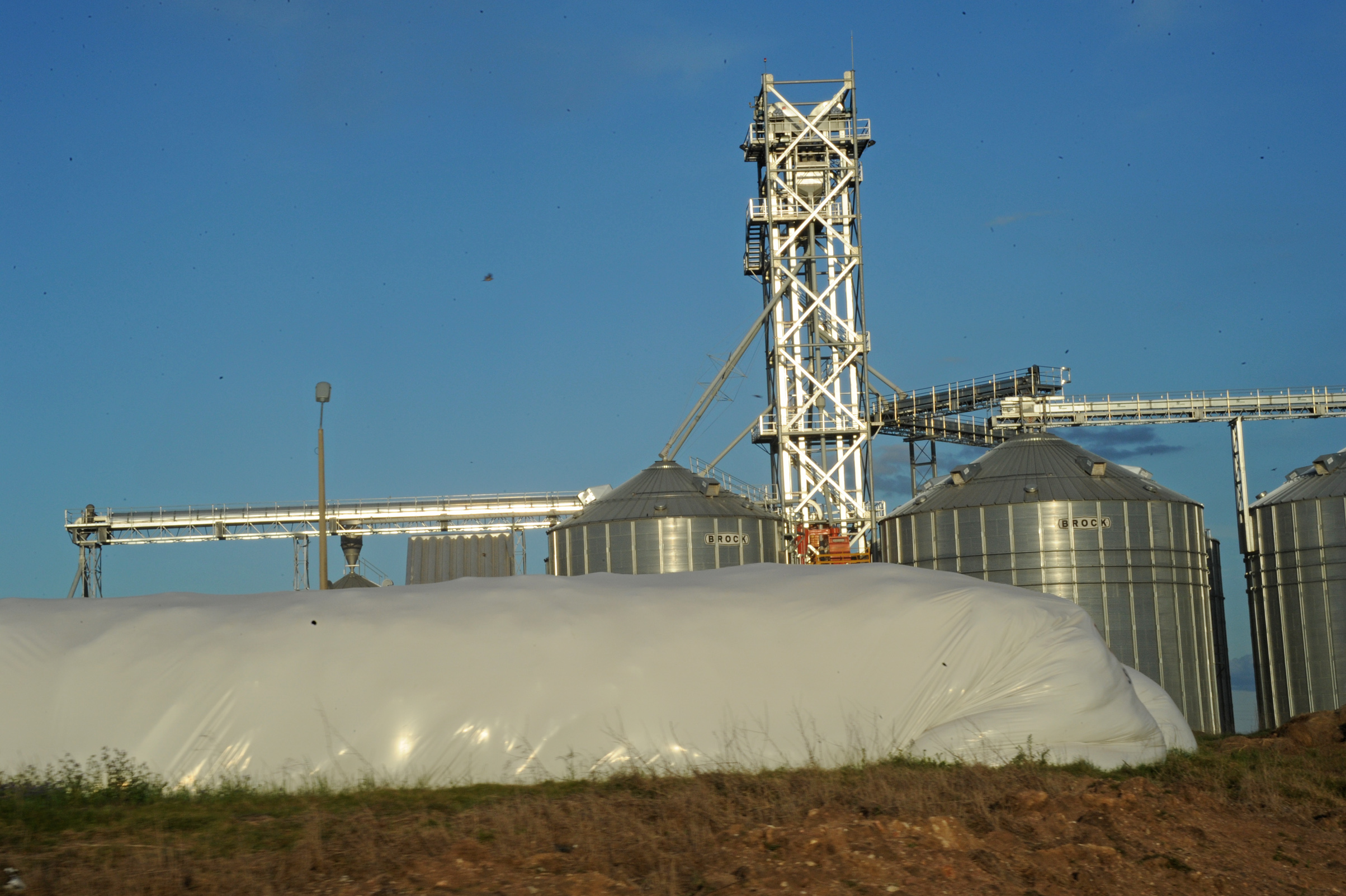 Establecimiento de producción de leche en polvo perteneciente a la Estancia del Lago y el Frigorífico Breaders Packers son ejemplos en tecnología