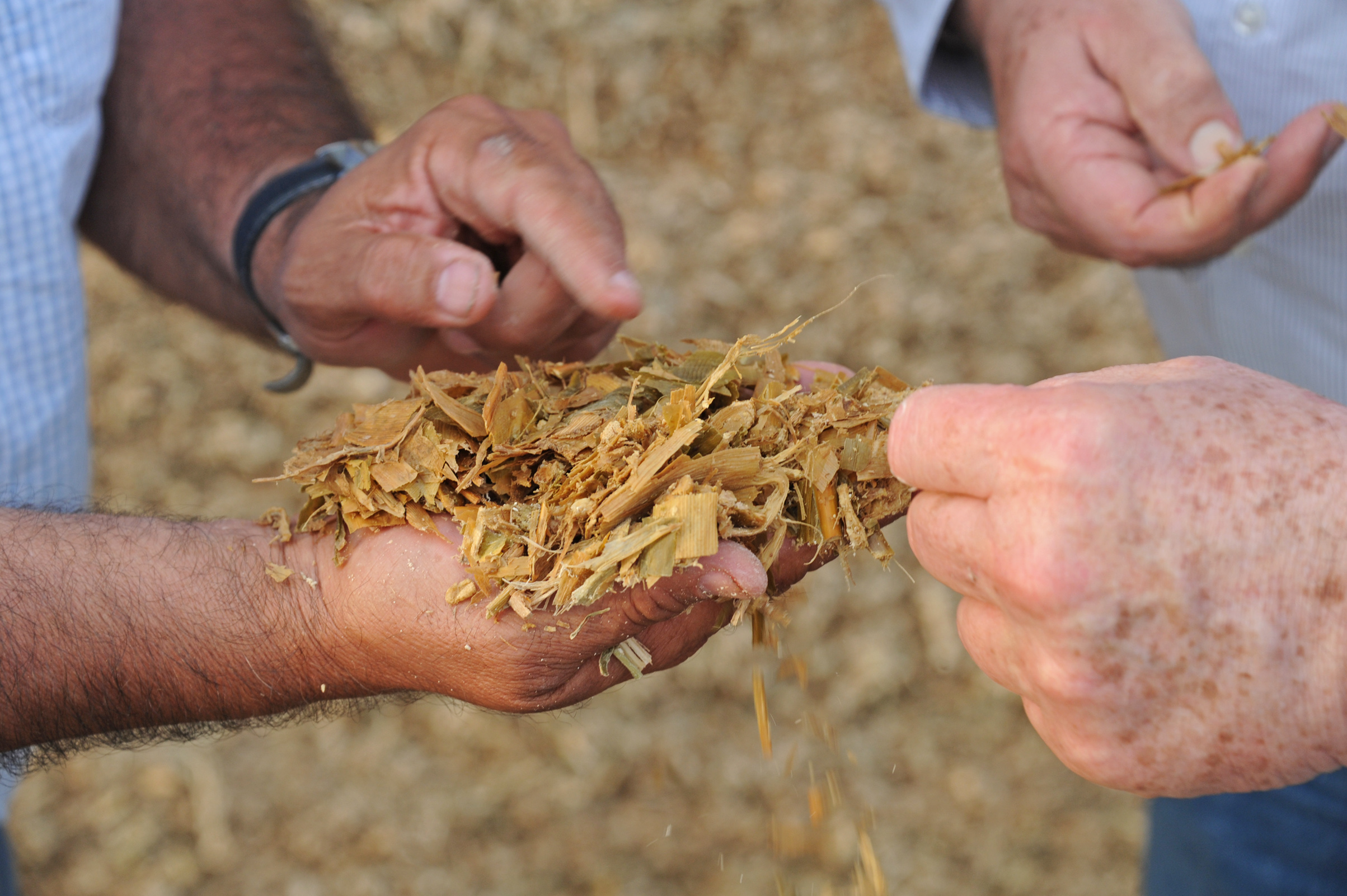 Establecimiento de producción de leche en polvo perteneciente a la Estancia del Lago y el Frigorífico Breaders Packers son ejemplos en tecnología