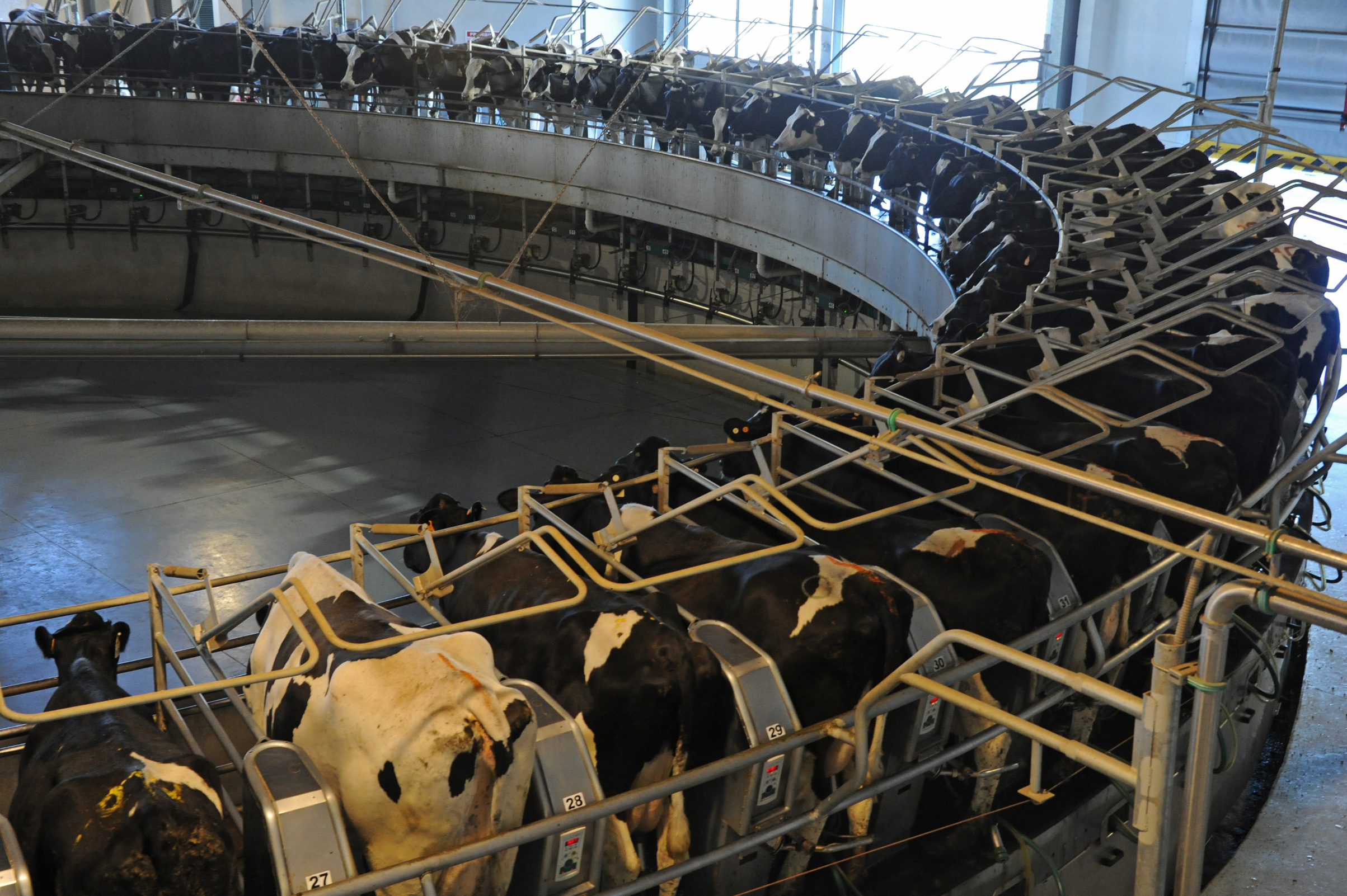 Establecimiento de producción de leche en polvo perteneciente a la Estancia del Lago y el Frigorífico Breaders Packers son ejemplos en tecnología