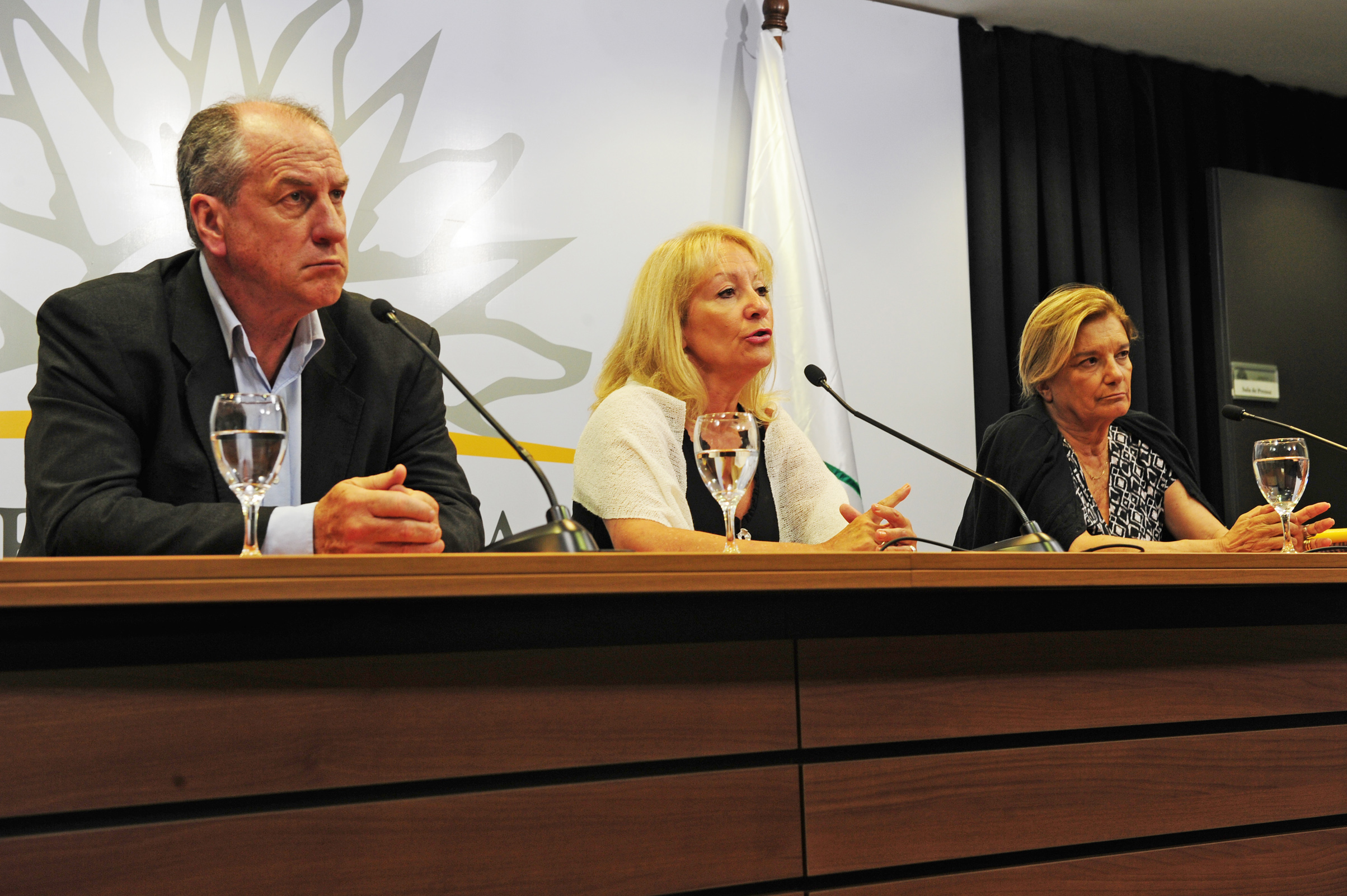 Carolina Cosse, dirigiéndose a los presentes
