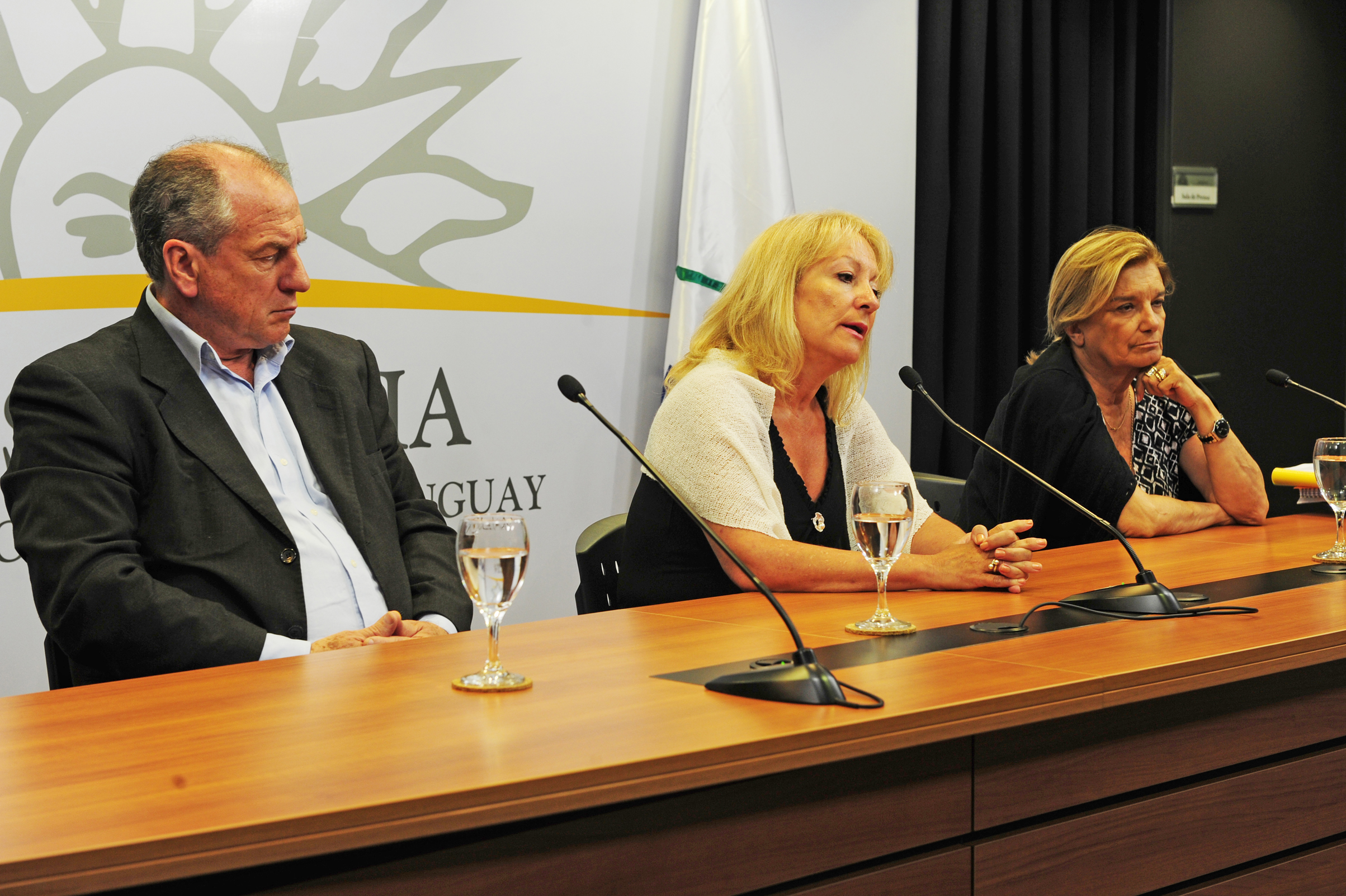 Carolina Cosse, dirigiéndose a los presentes