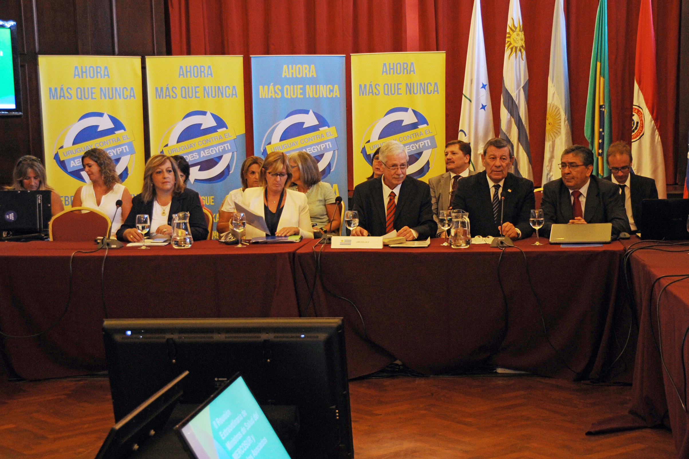 Reunión de Ministros de Salud del Mercosur