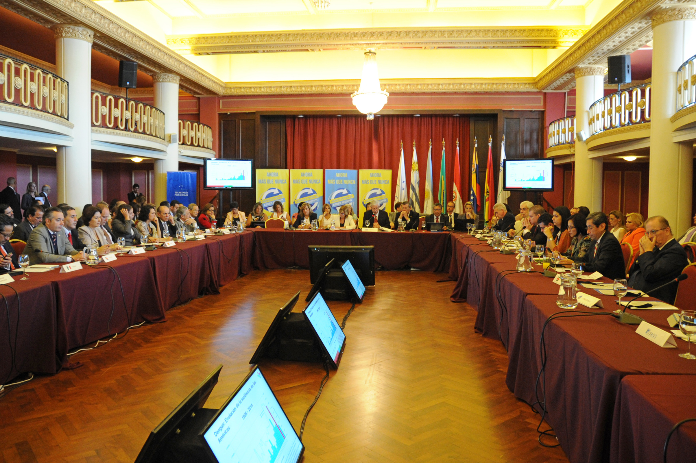 Reunión de Ministros de Salud del Mercosur