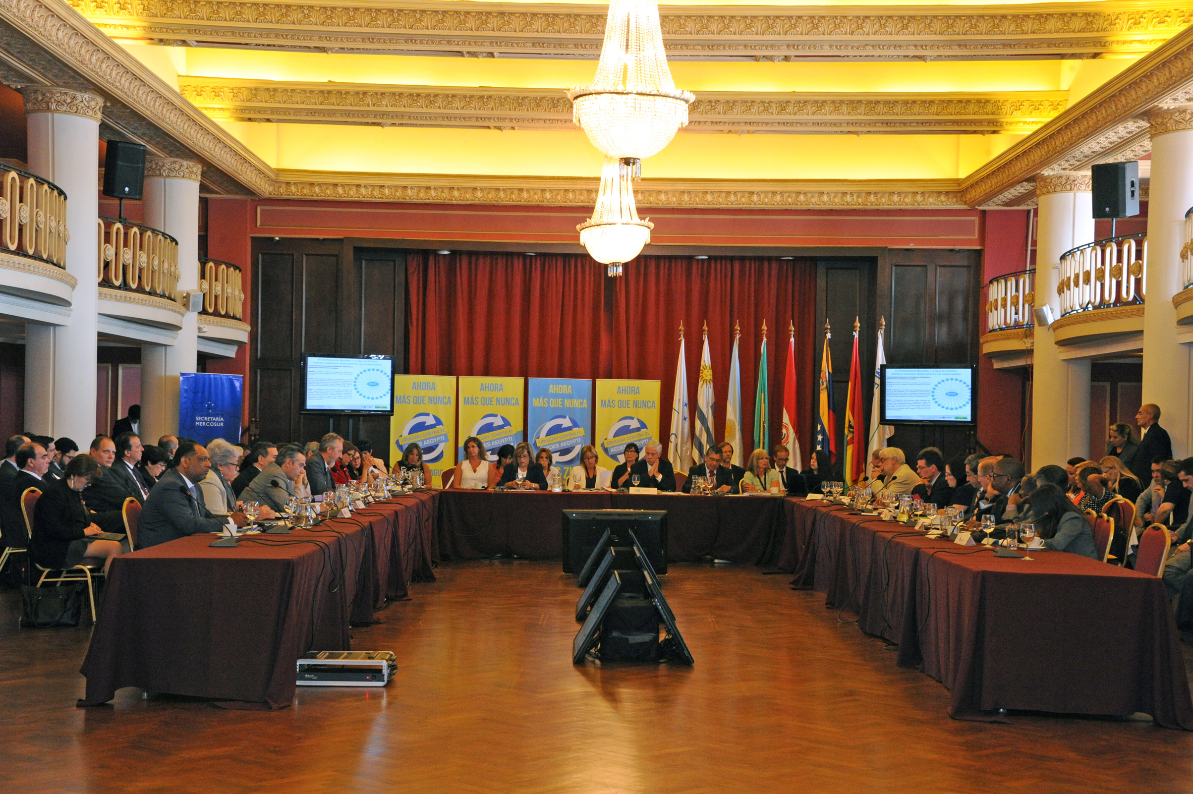 Reunión de Ministros de Salud del Mercosur