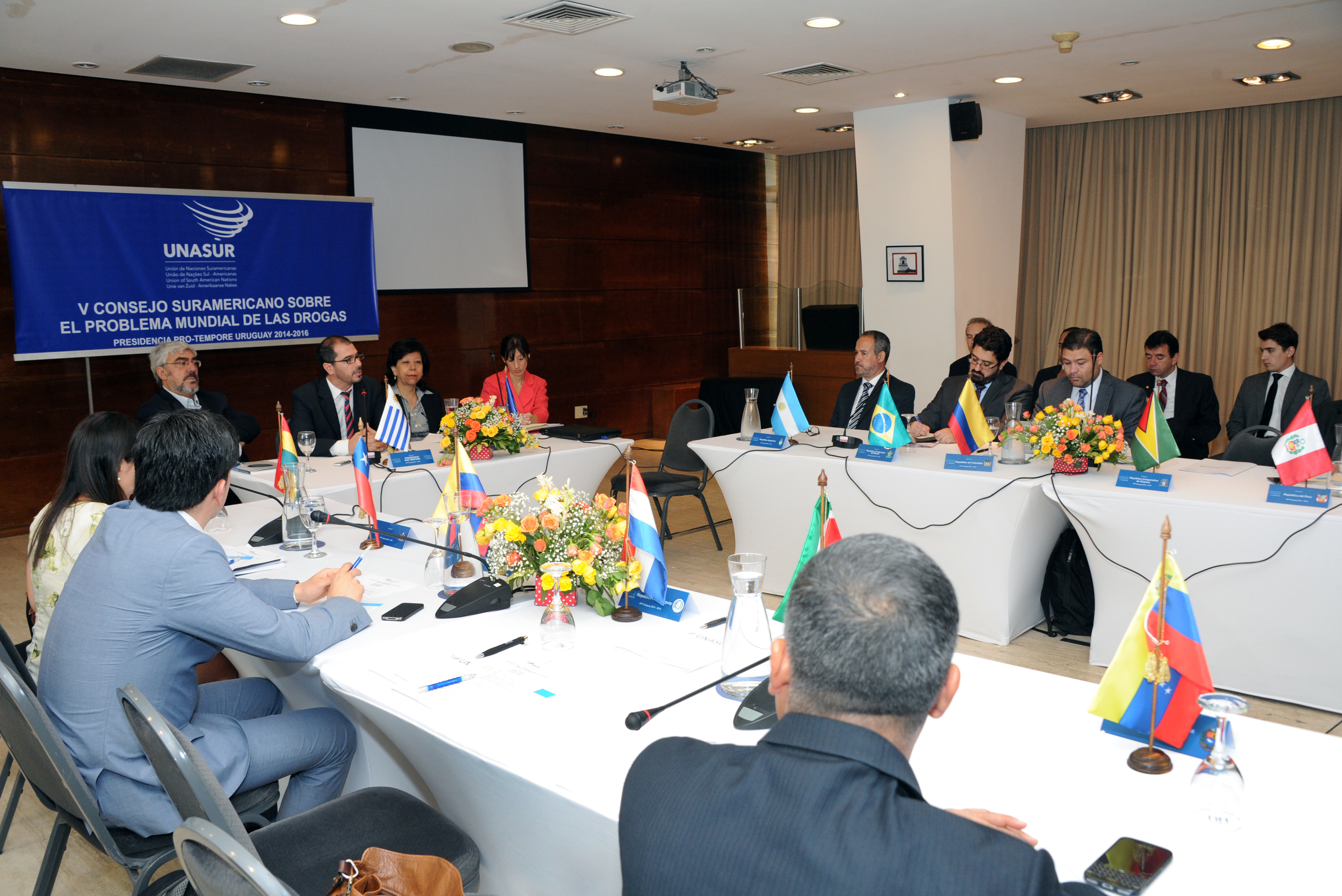 V Consejo Ordinario del Consejo sobre el Problema Mundial de las Drogas de Unasur