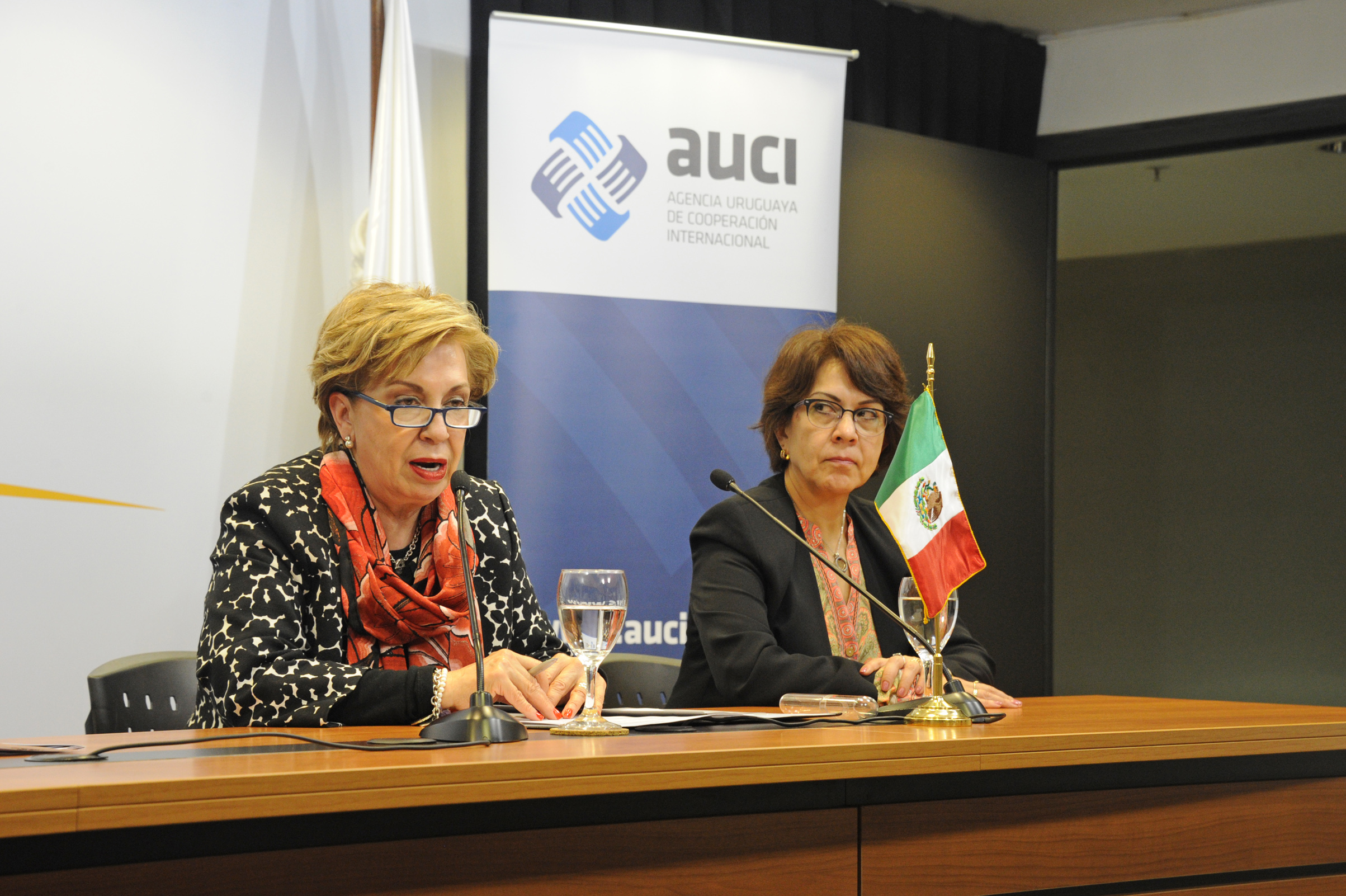 Martha Navarro Albo, directora general de AMEXCID, dirigiéndose a los presentes