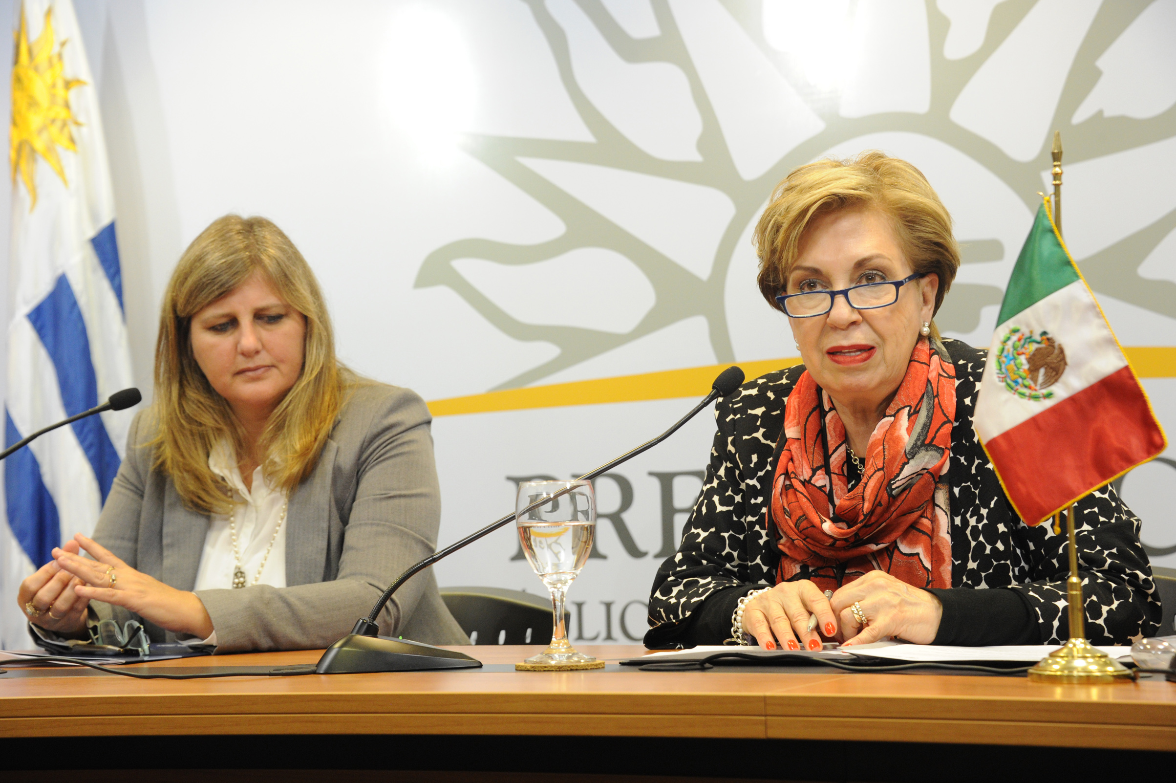 Martha Navarro Albo, directora general de AMEXCID, dirigiéndose a los presentes