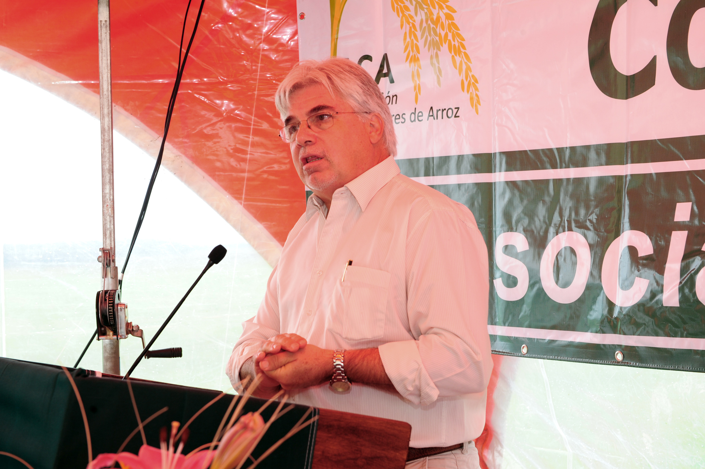 Lanzamiento de la cosecha de arroz 2016