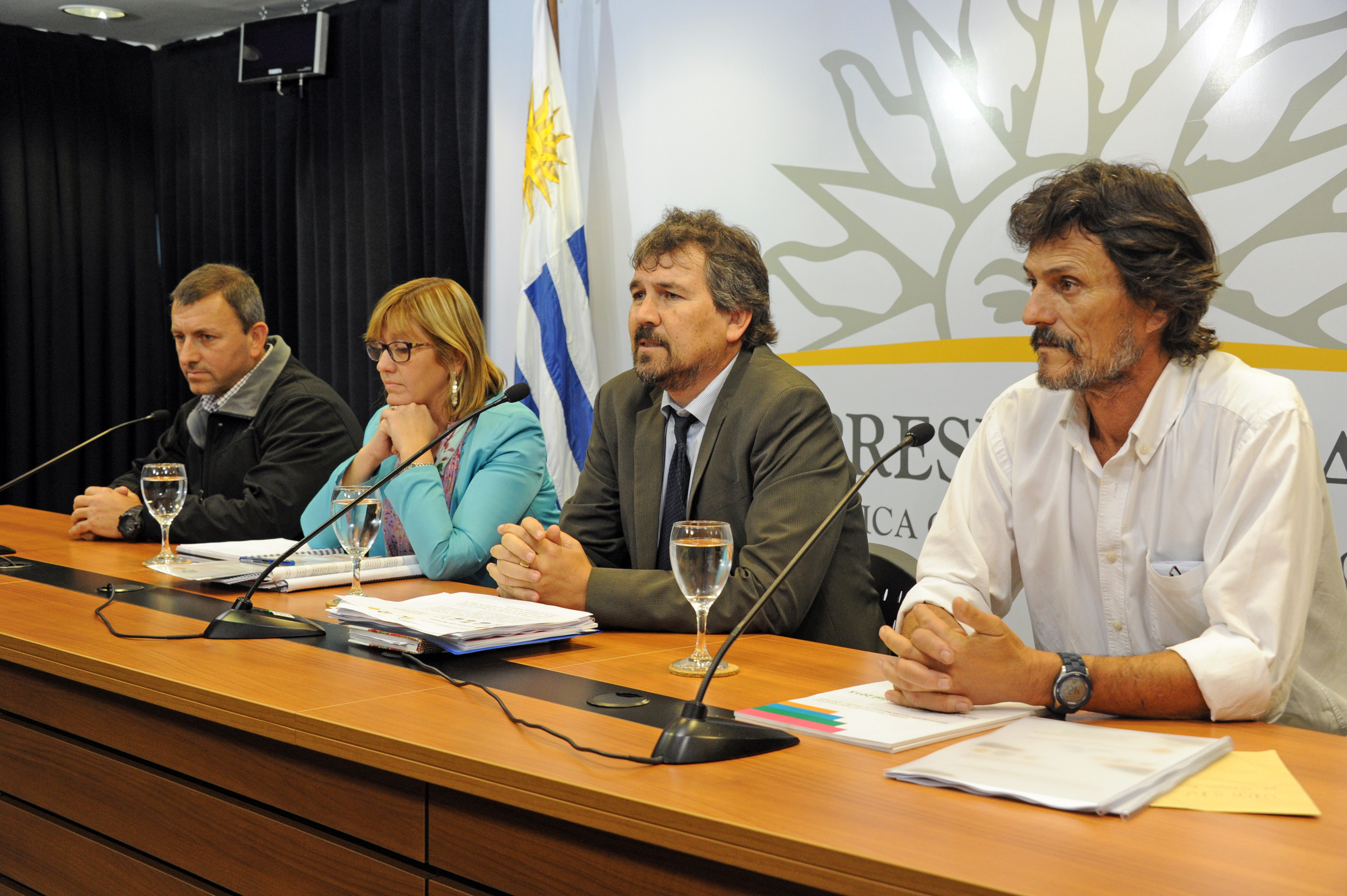 Director general de Presidencia de la República, Diego Pastorín, durante su exposición