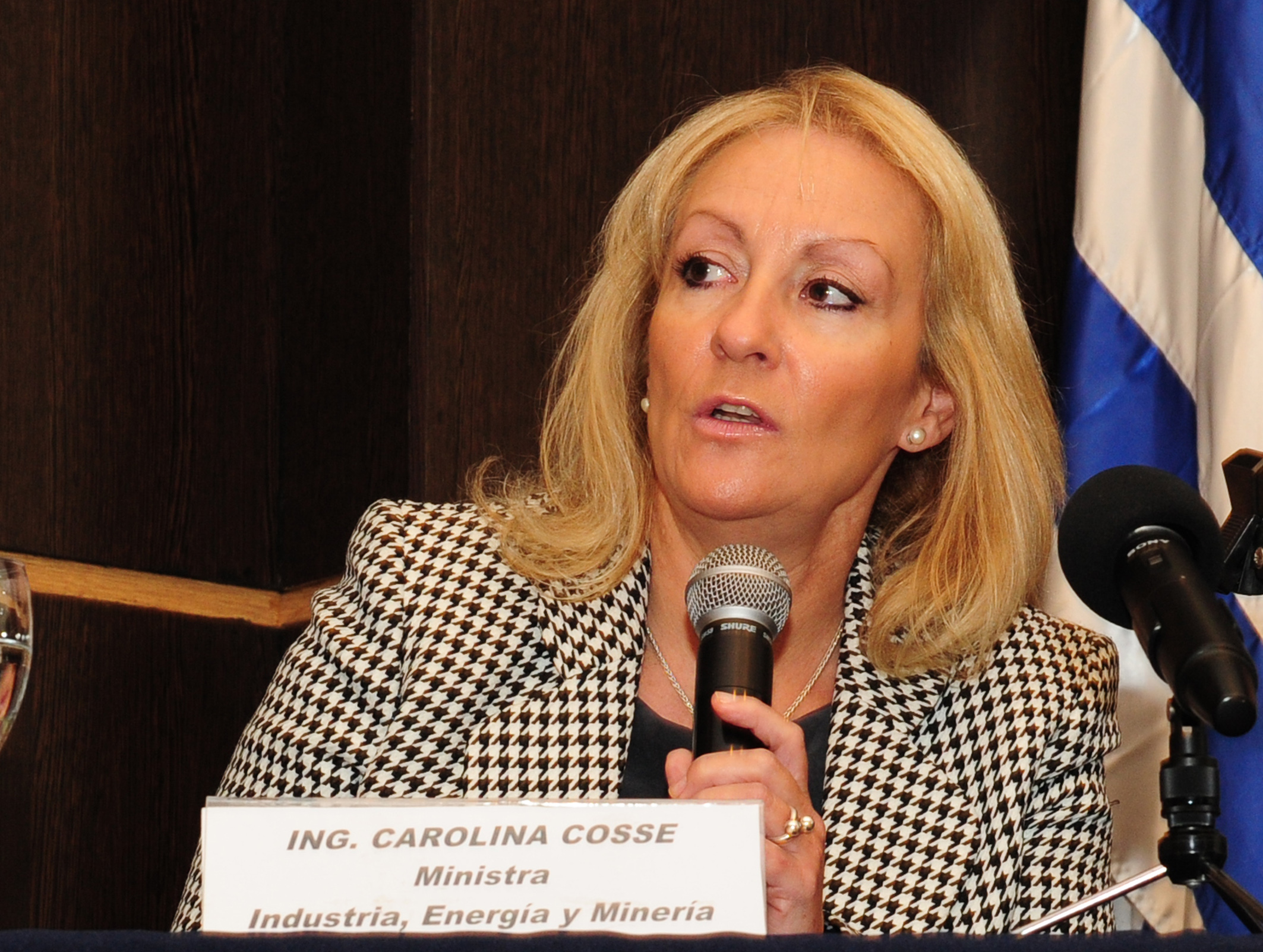 Ministra de Industria, Carolina Cosse
