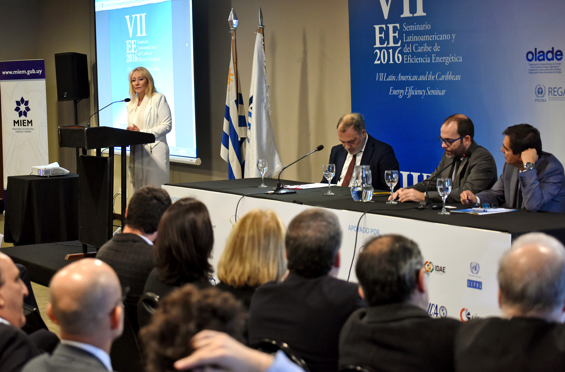 VII Seminario Latinoamericano y del Caribe de Eficiencia Energética