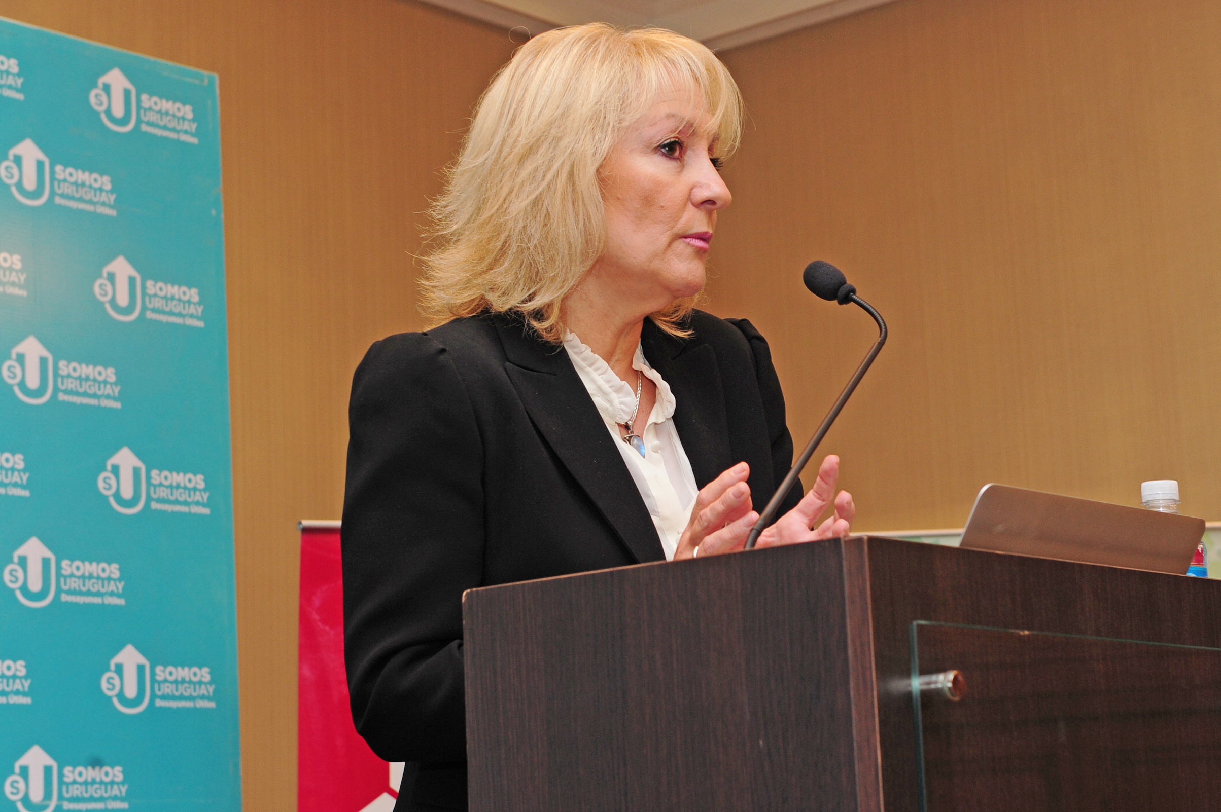 Ministra de Industria, Energía y Minería, Carolina Cosse, durante su disertación