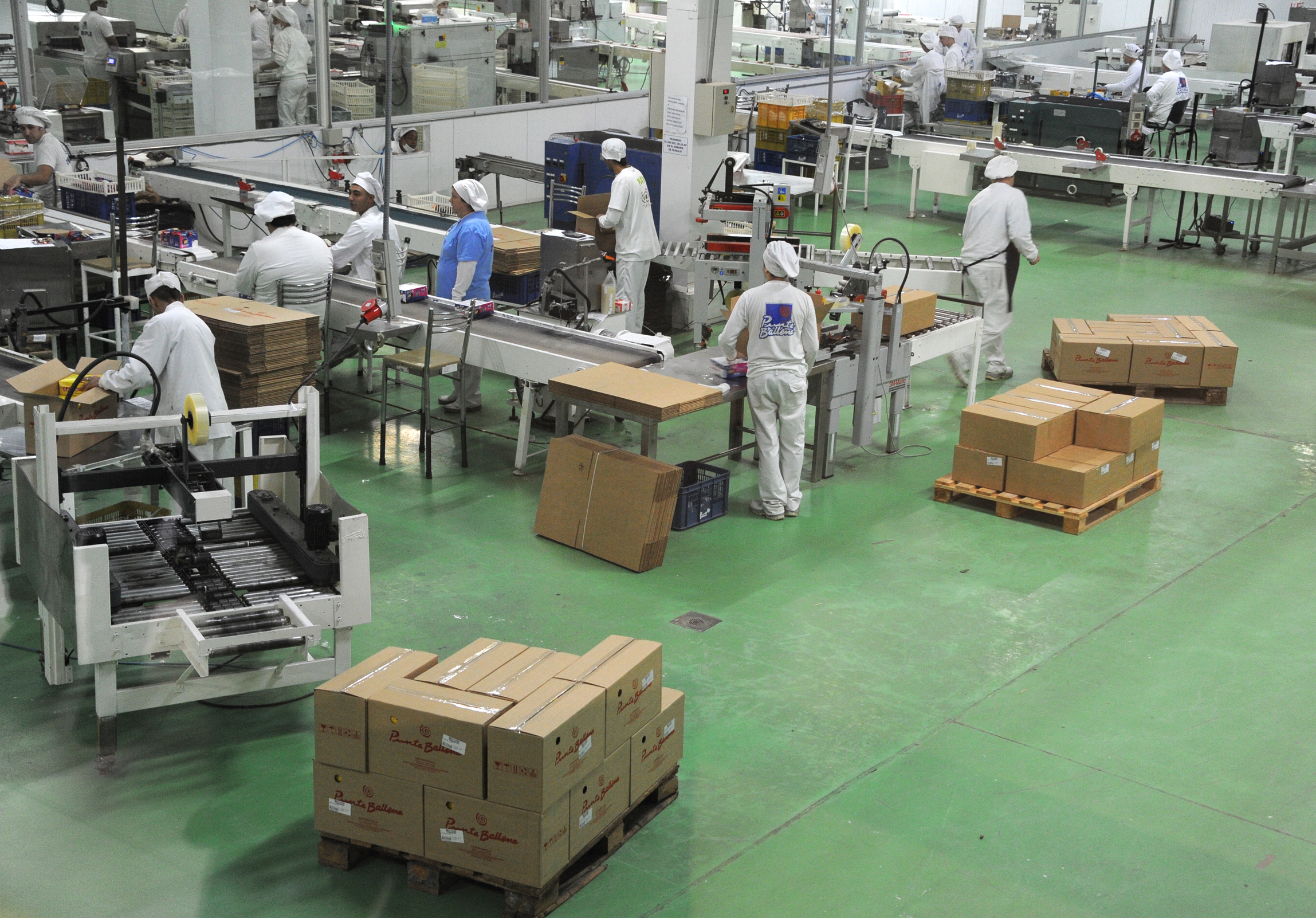 Planta de elaboración de Alfajores Punta Ballena