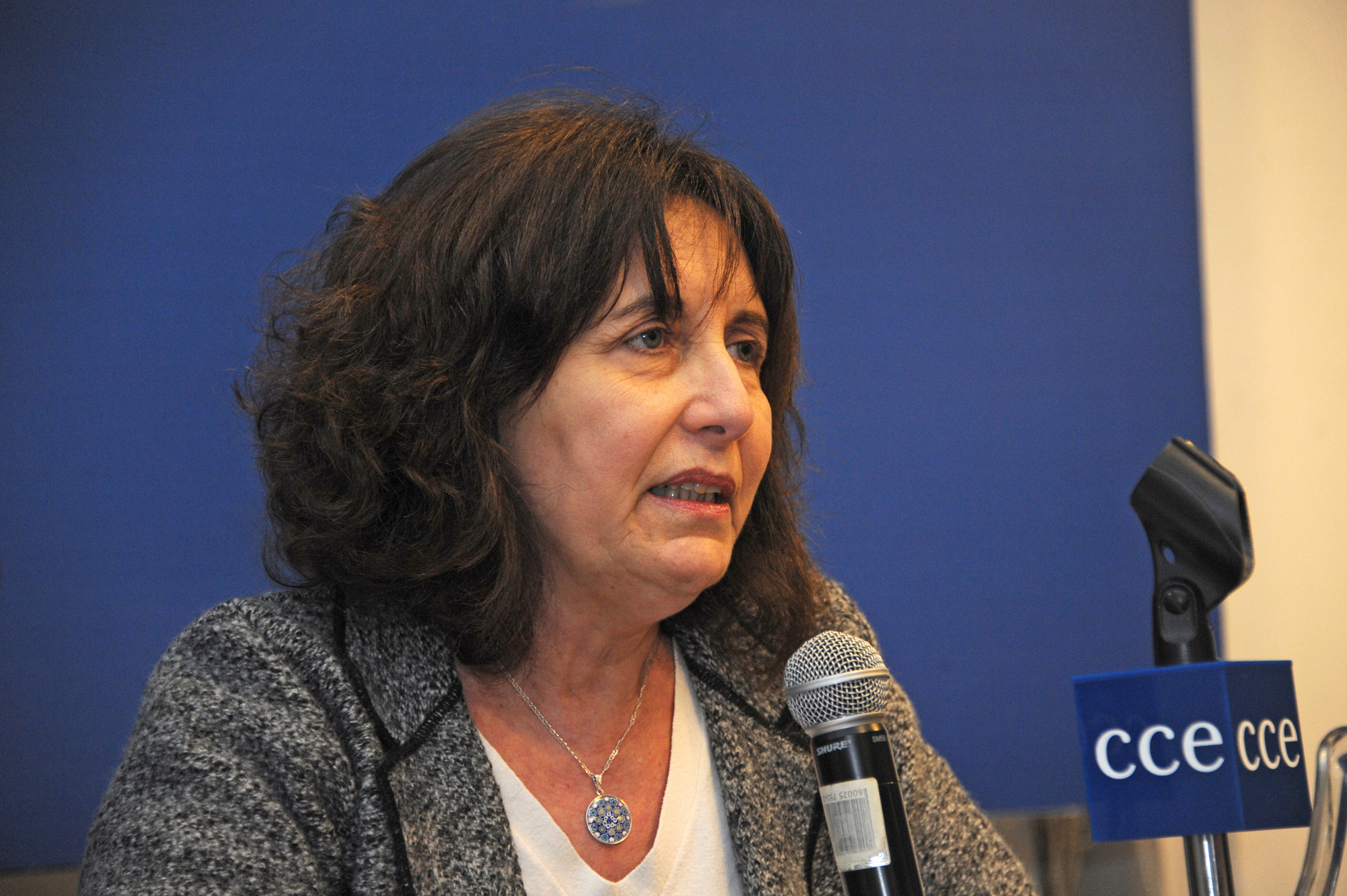 Directora del Instituto Nacional de las Mujeres (Inmujeres), Mariella Mazzotti