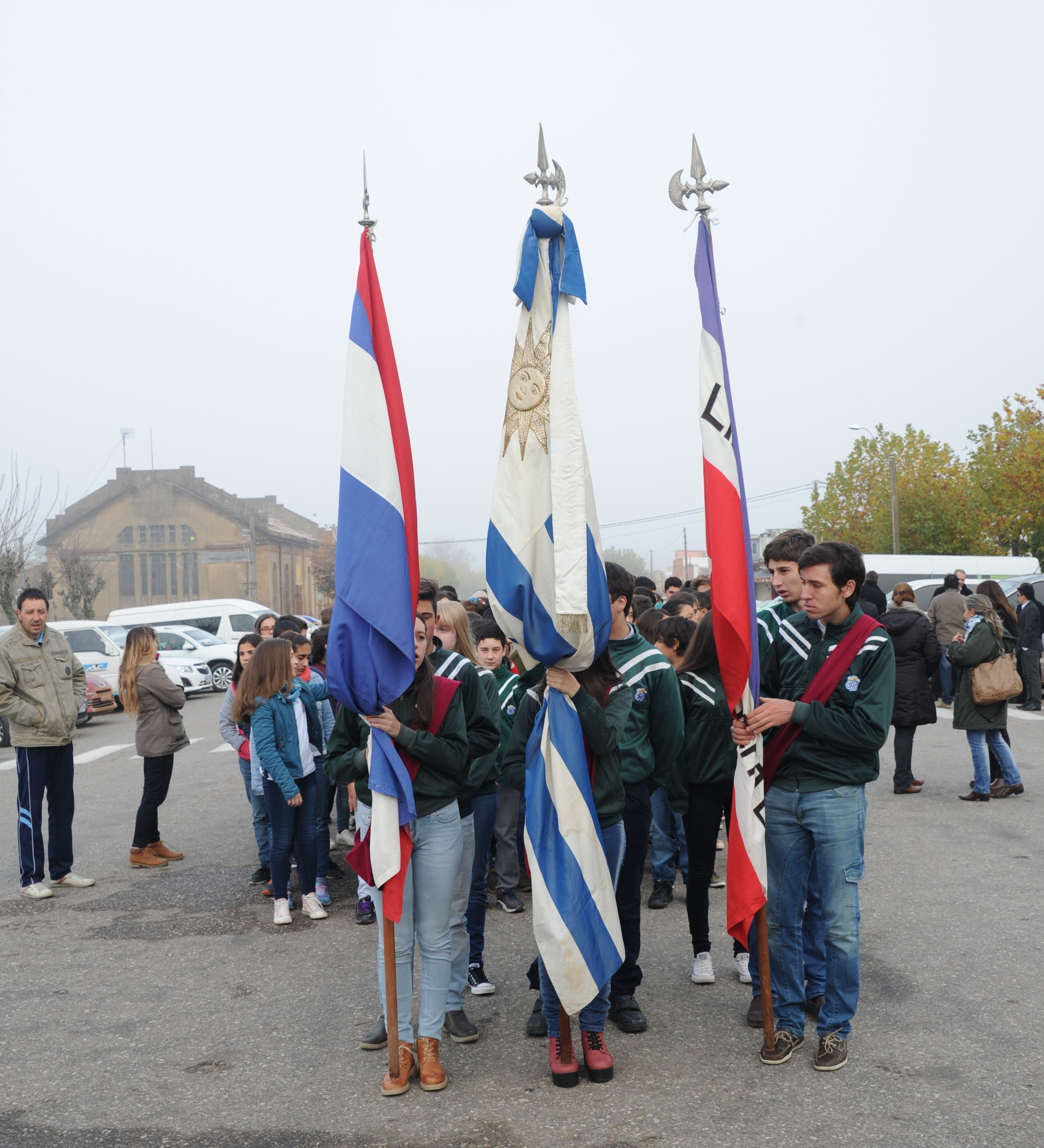 Pabellones Patrios