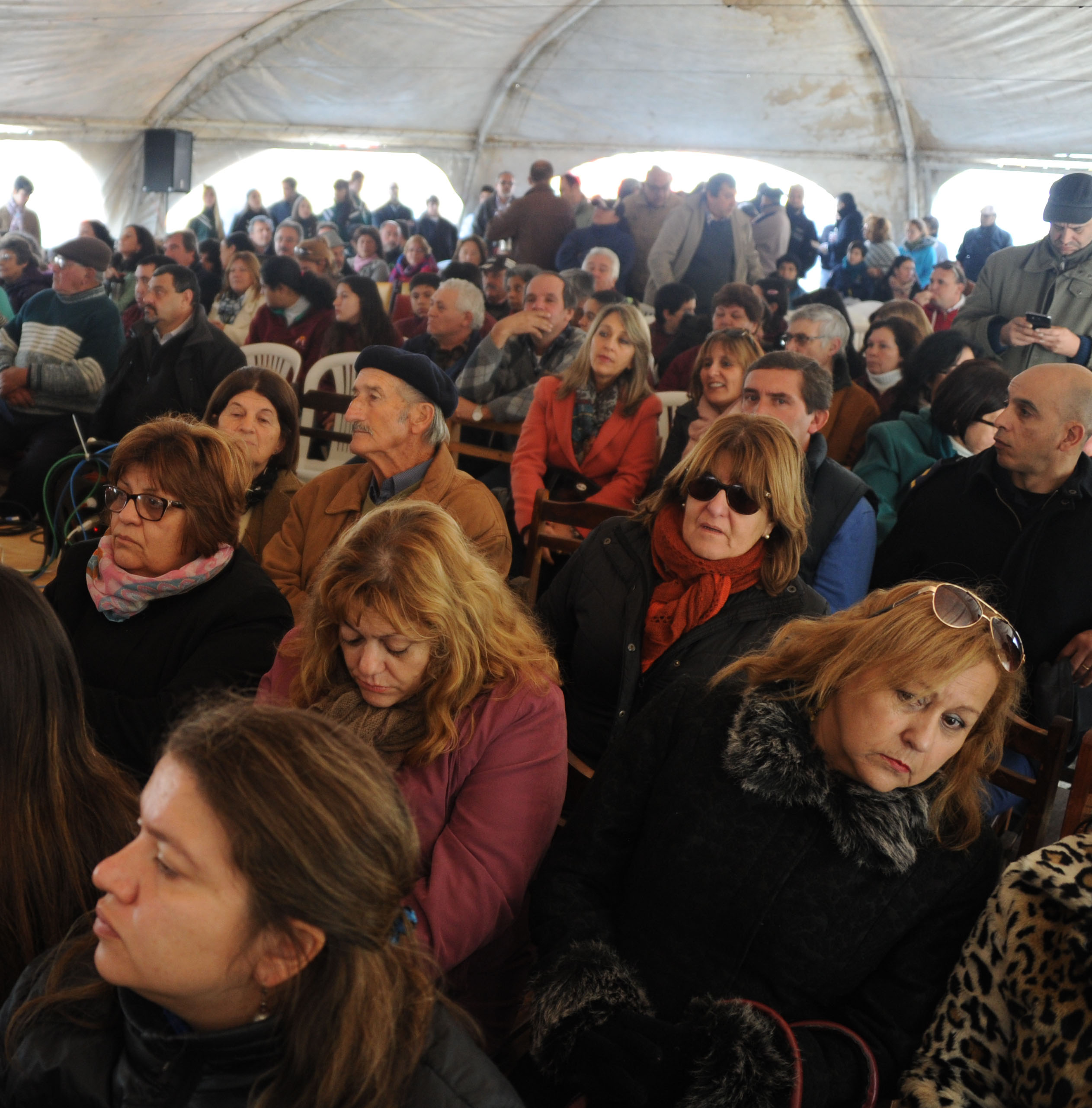 Asistentes al Consejo