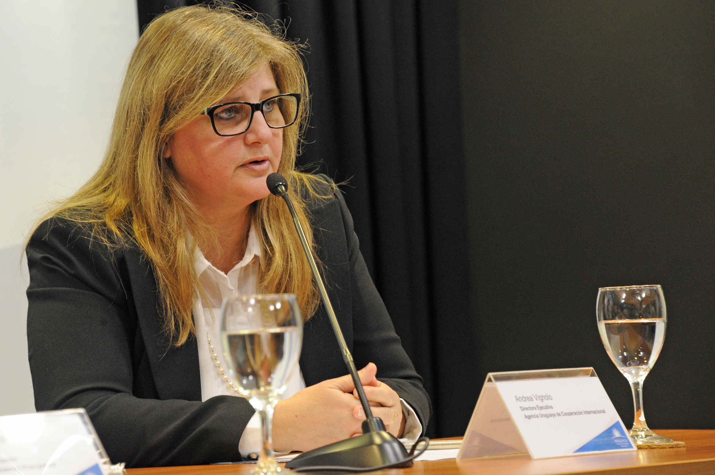 Directora Ejecutiva de AUCI, Andrea Vignolo, dirigiéndose a los presentes