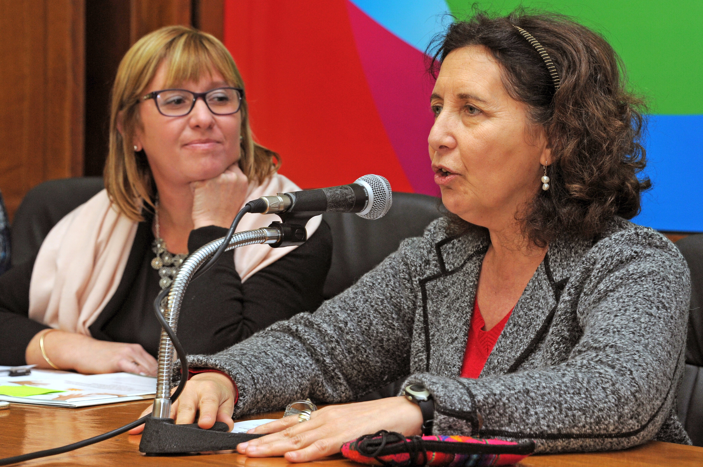 Presidenta del Consejo Nacional de Género, Mariella Mazzotti, haciendo uso de la palabra