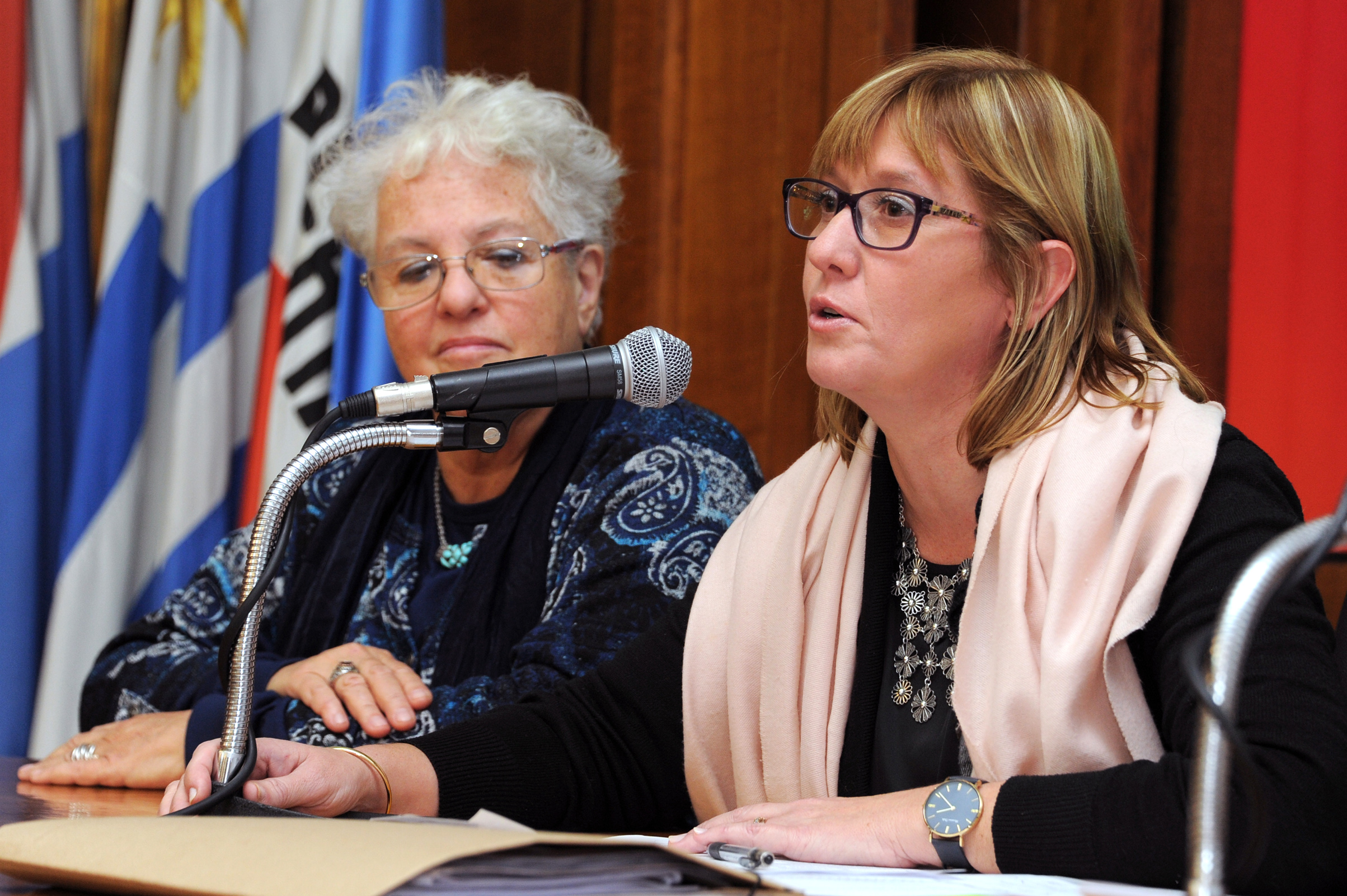 Ministra de Salud Pública, Cristina Lustemberg, haciendo uso de la palabra