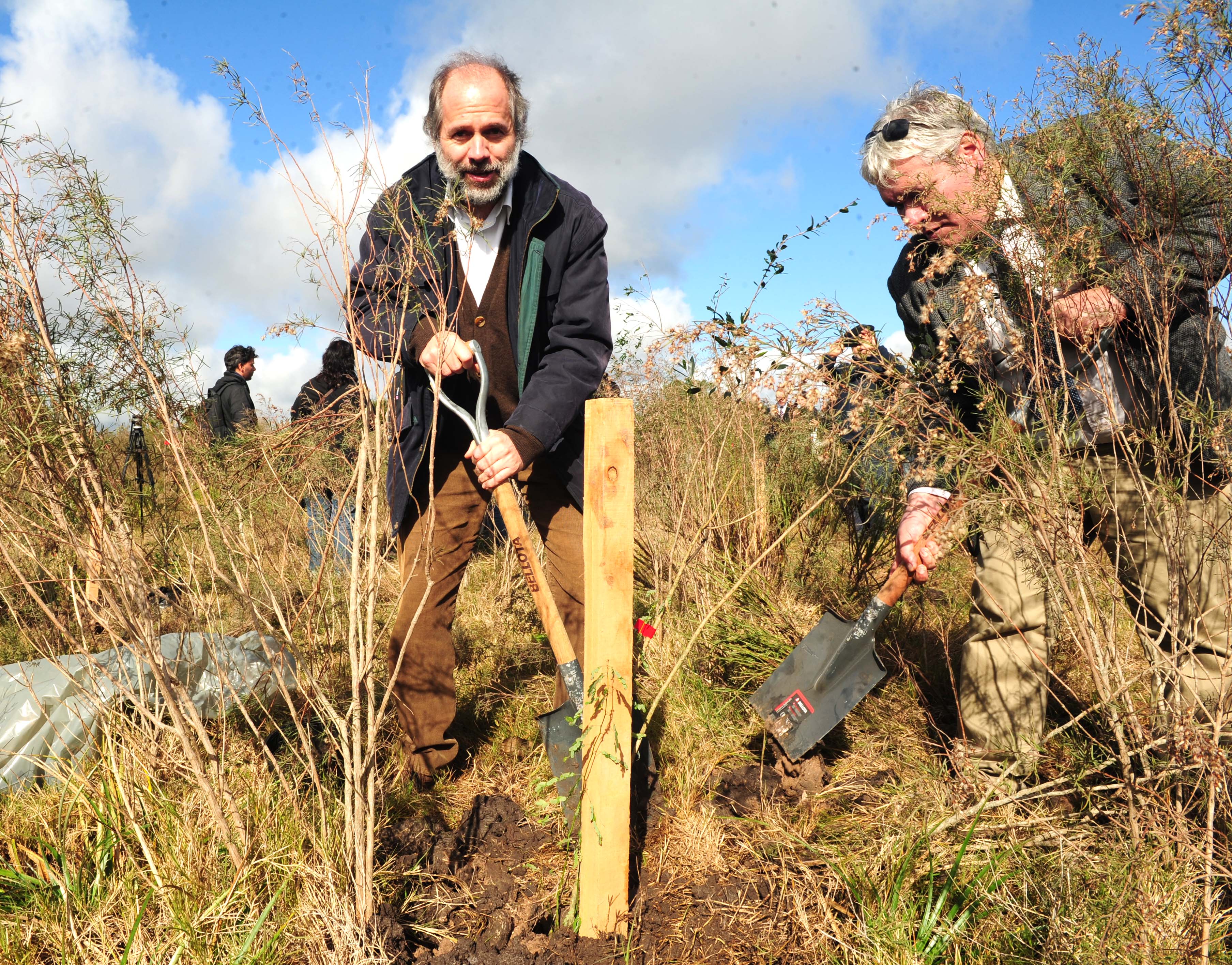 Presidente de OSE, Milton Machado plantando un árbol nativo