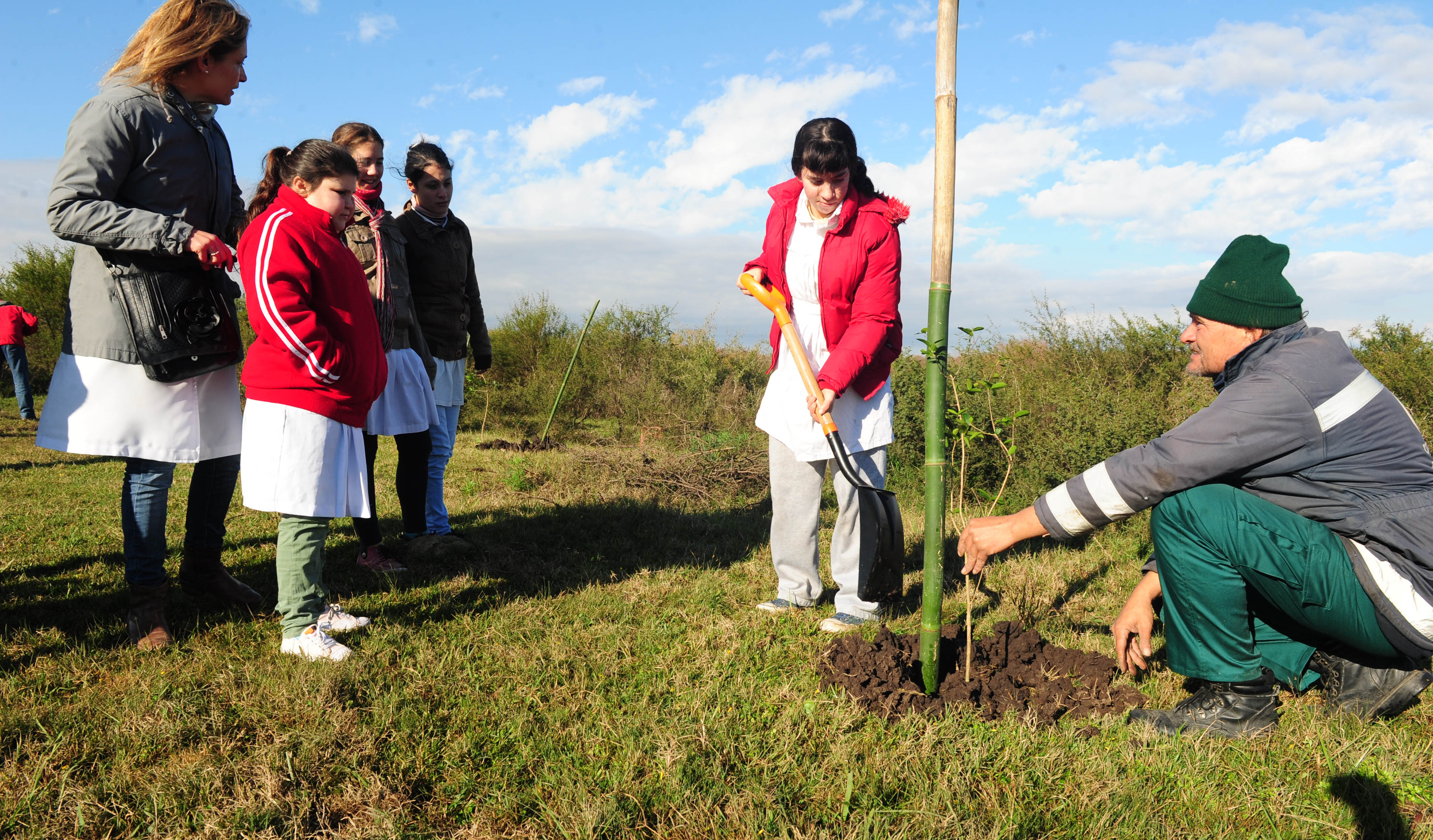 Escolares plantando un árbol