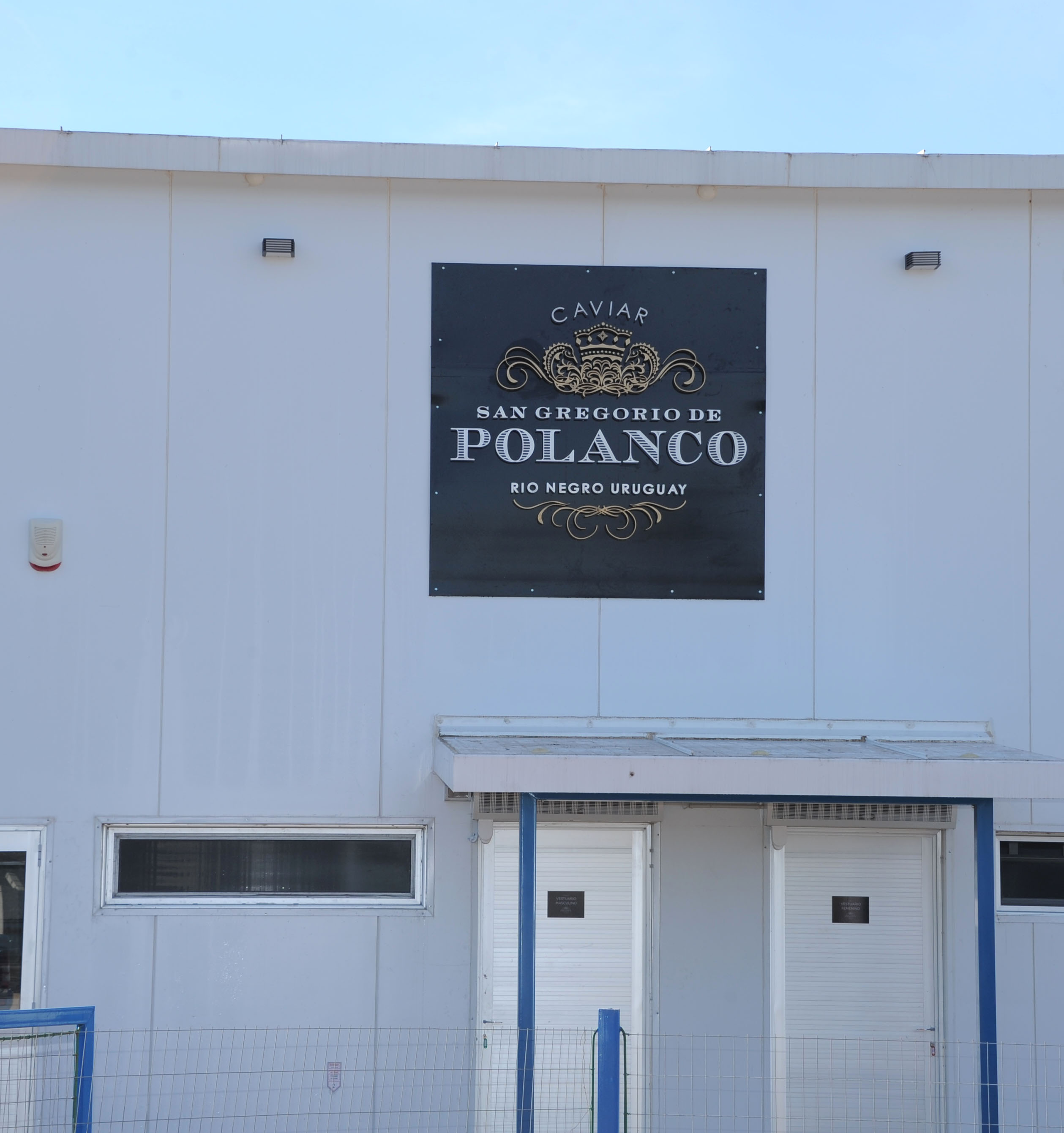 Estuario del Plata, una empresa dedicada a la producción y cría de esturiones bajo la marca “San Gregorio de Polanco”